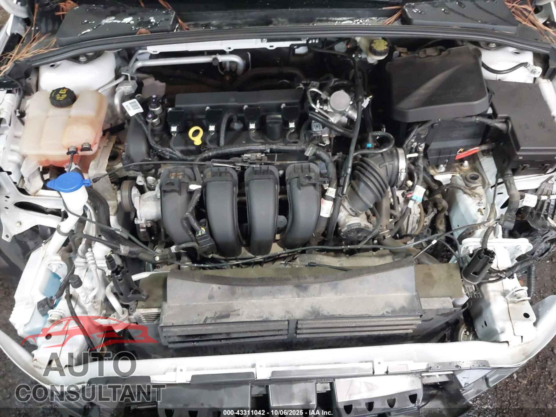 FORD FOCUS 2016 - 1FADP3F23GL341043