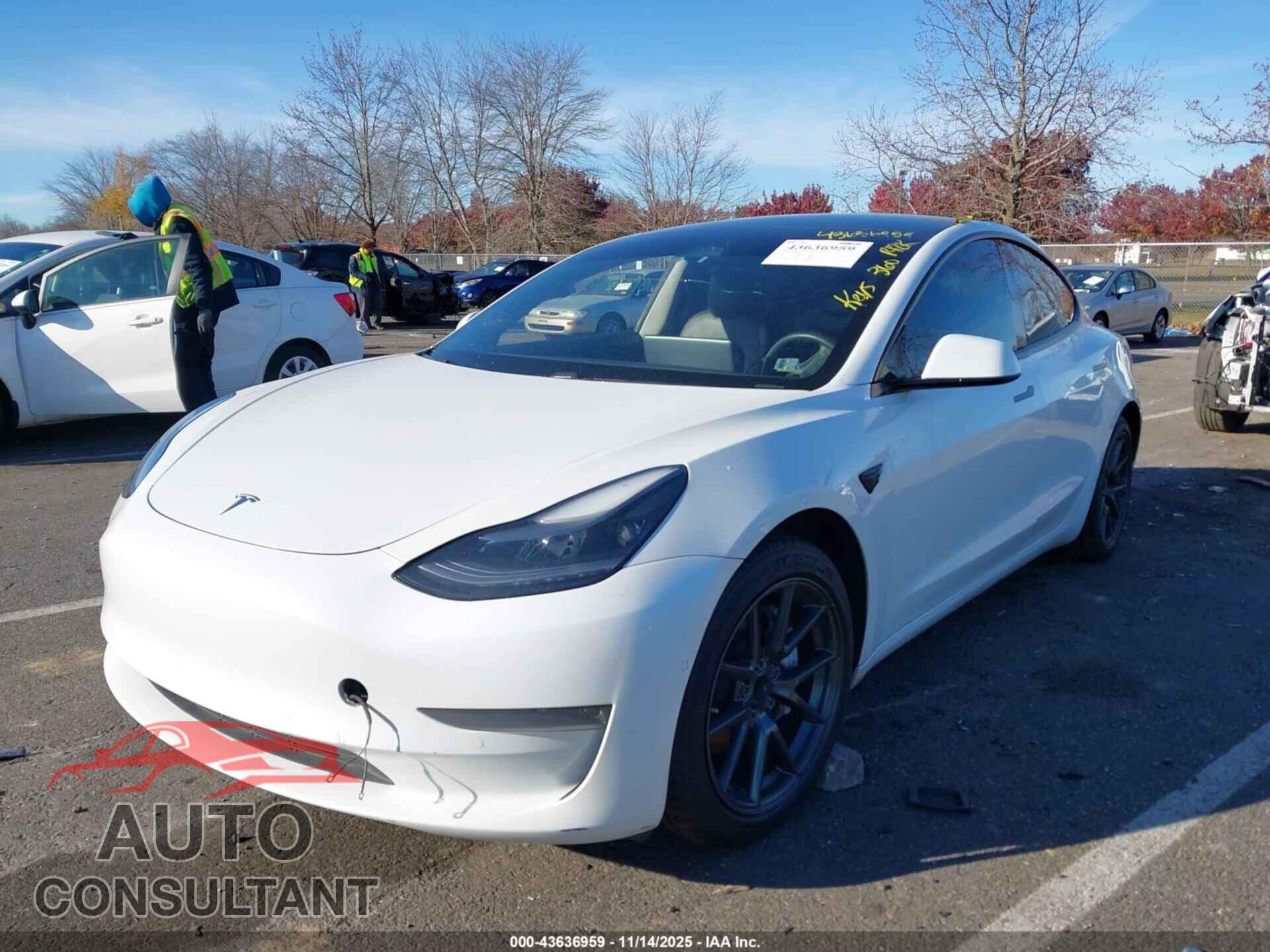 TESLA MODEL 3 2021 - 5YJ3E1EA2MF987066