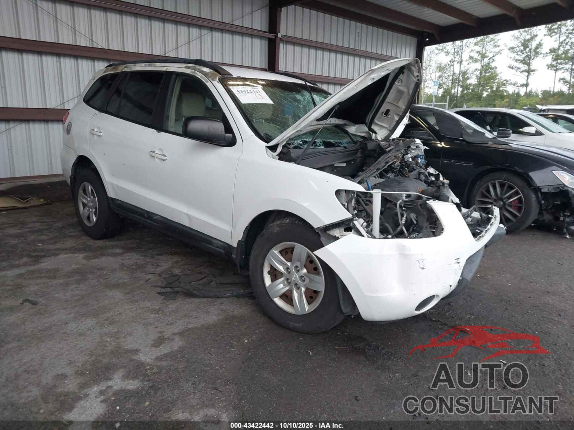 HYUNDAI SANTA FE 2009 - 5NMSG13D59H316452