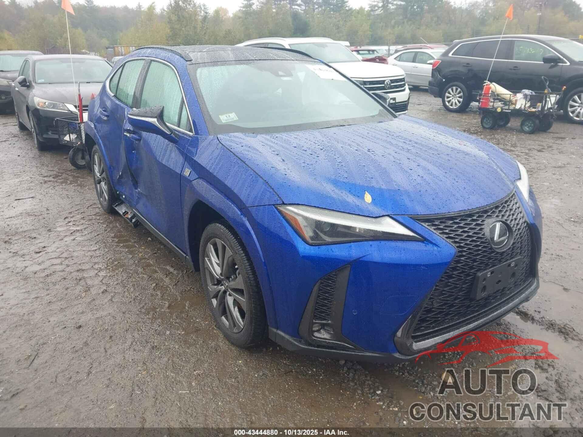 LEXUS UX 250H 2024 - JTHB9JBH3R2077890