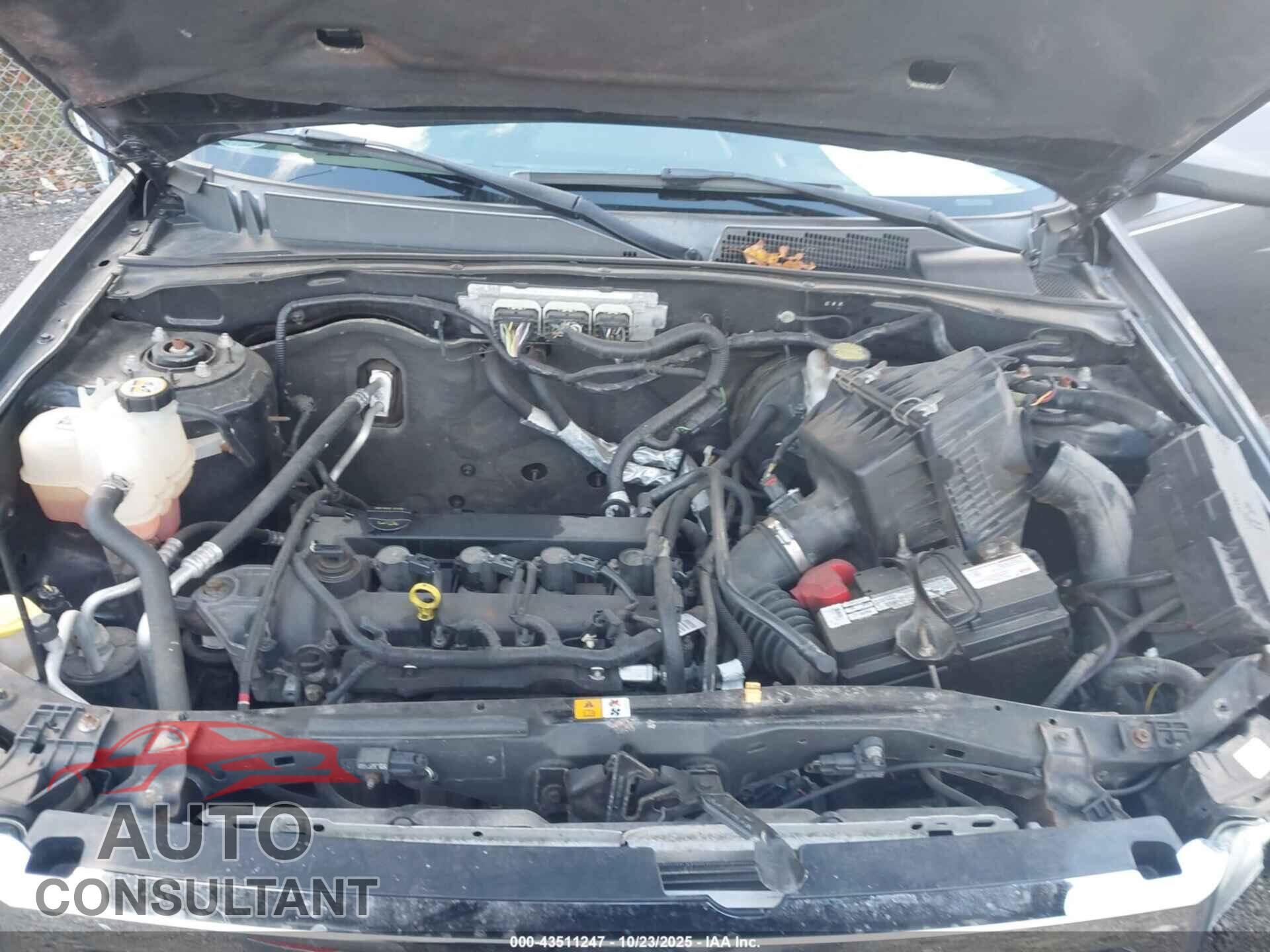 FORD ESCAPE 2011 - 1FMCU0E73BKC37348