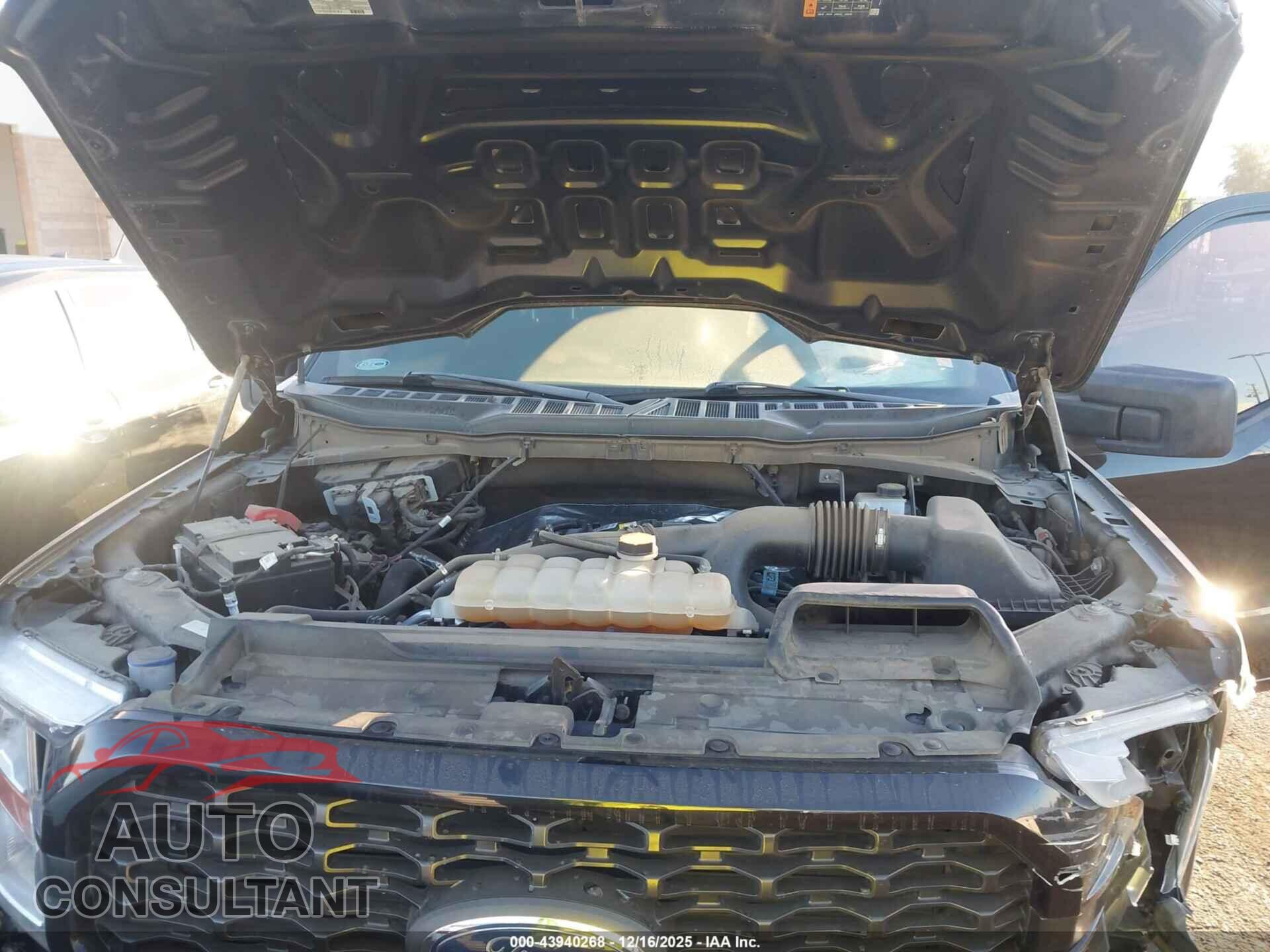 FORD F-150 2022 - 1FTEW1EP6NKD59364