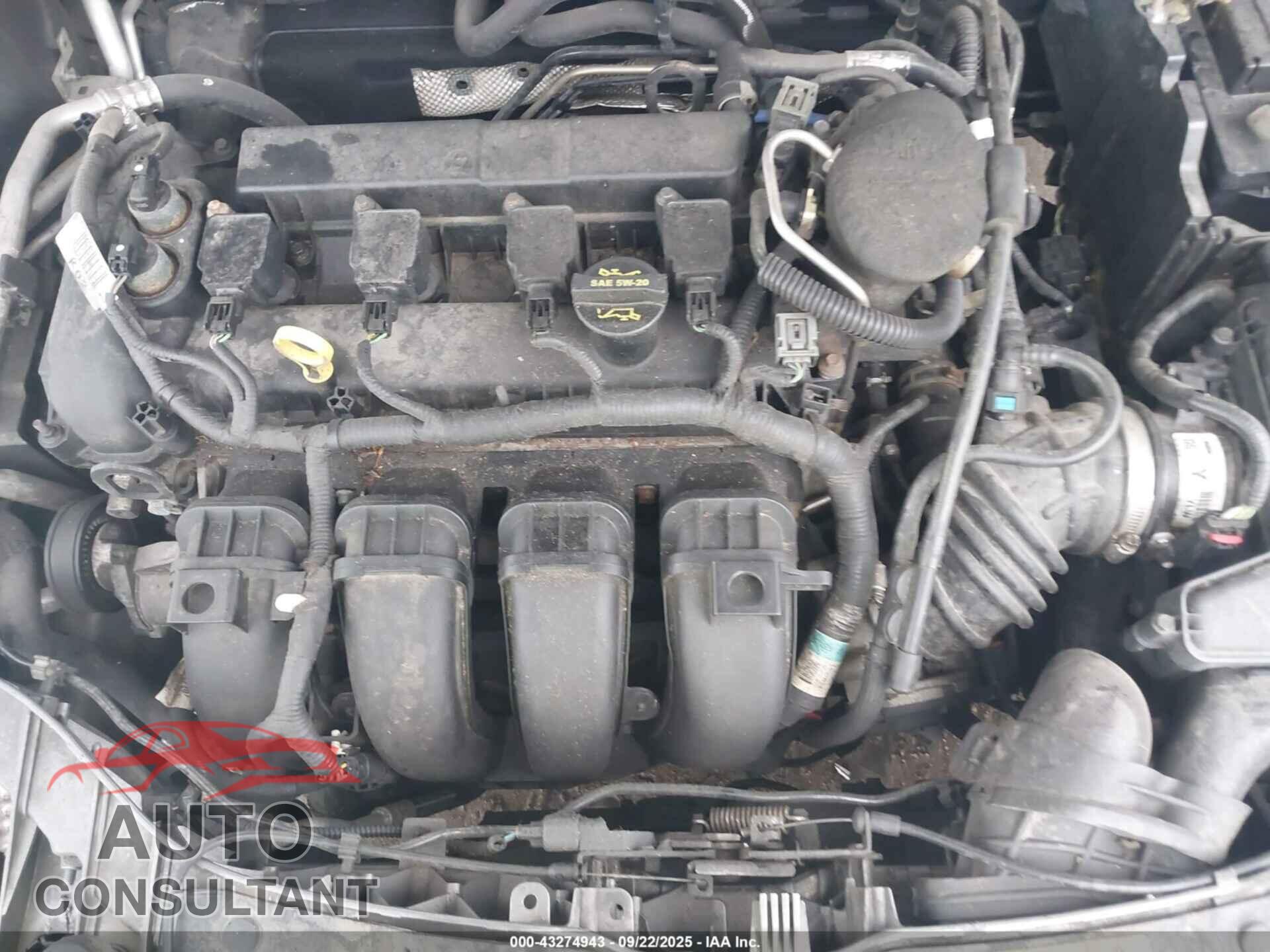 FORD FOCUS 2012 - 1FAHP3F23CL323556