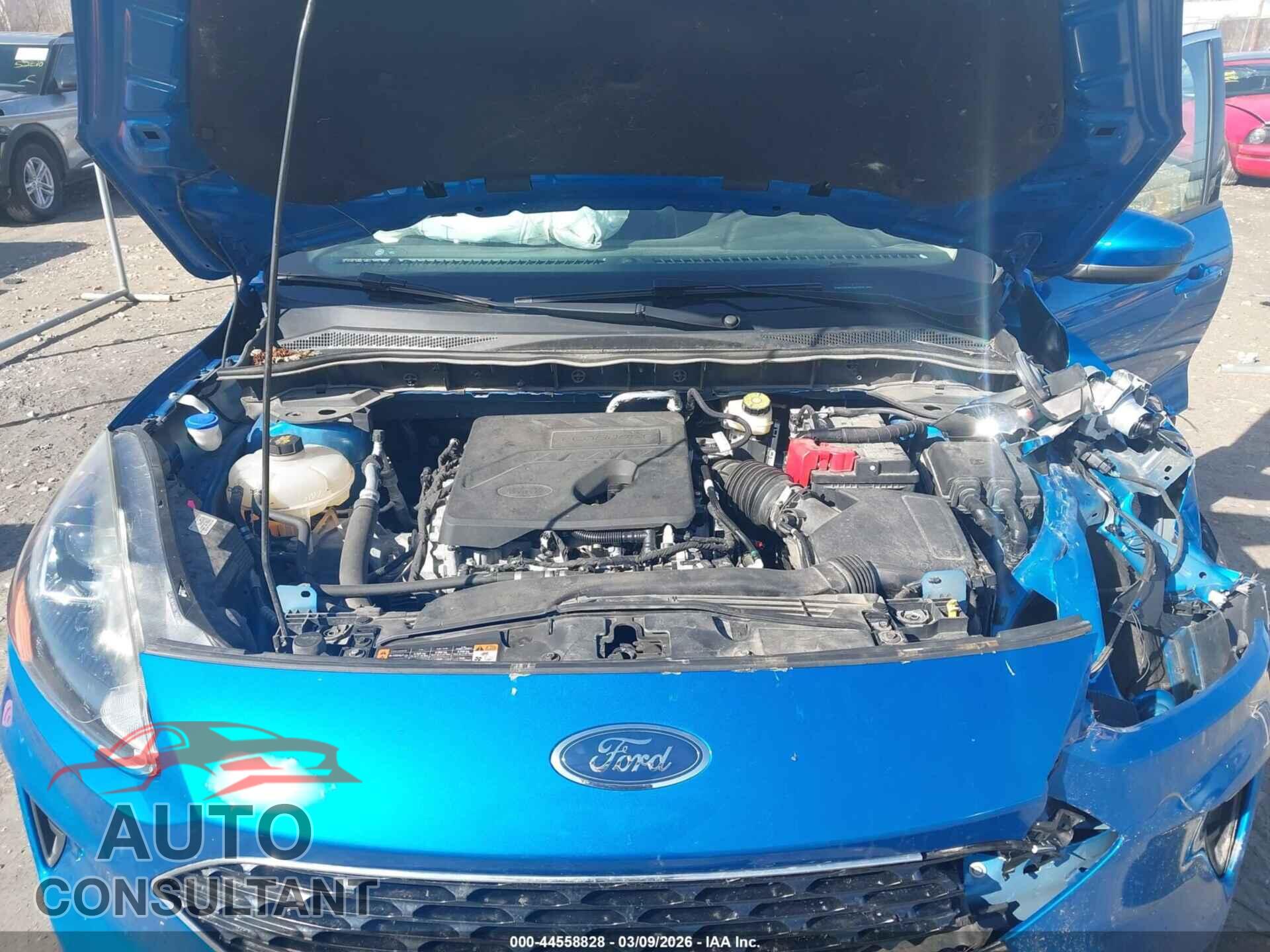FORD ESCAPE 2020 - 1FMCU9G69LUA07618