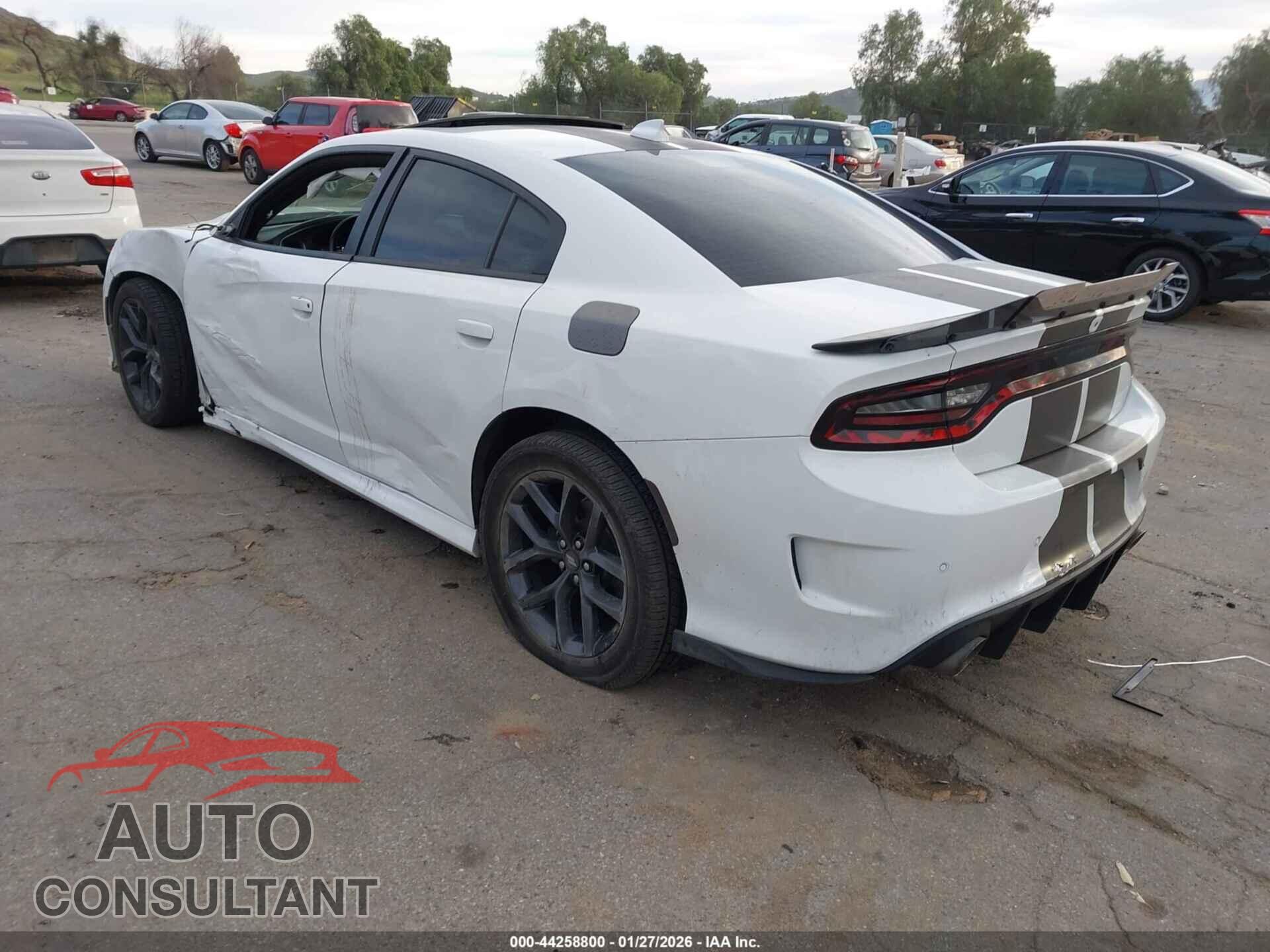 DODGE CHARGER 2019 - 2C3CDXCTXKH584300