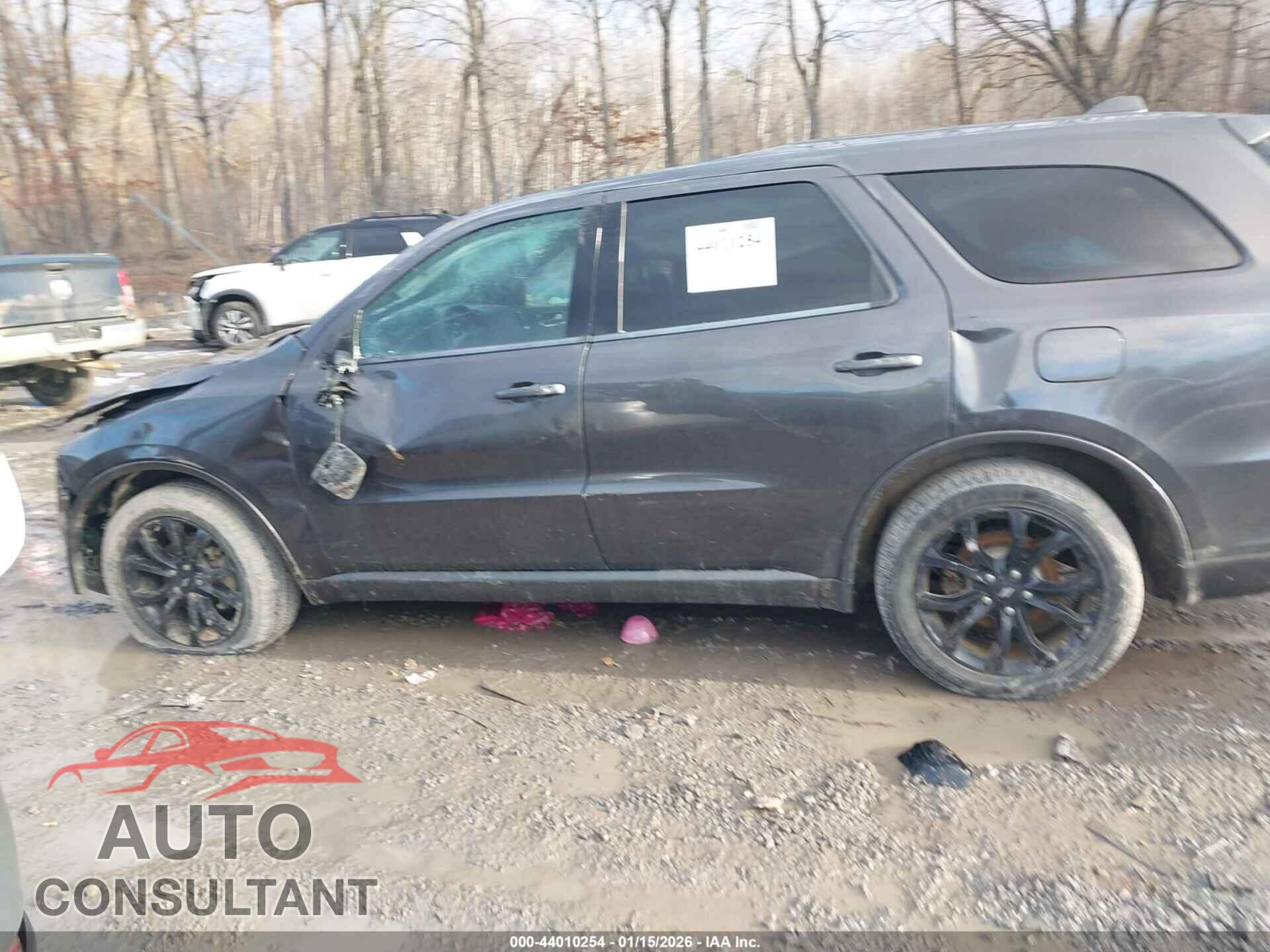 DODGE DURANGO 2019 - 1C4RDJDG2KC544526