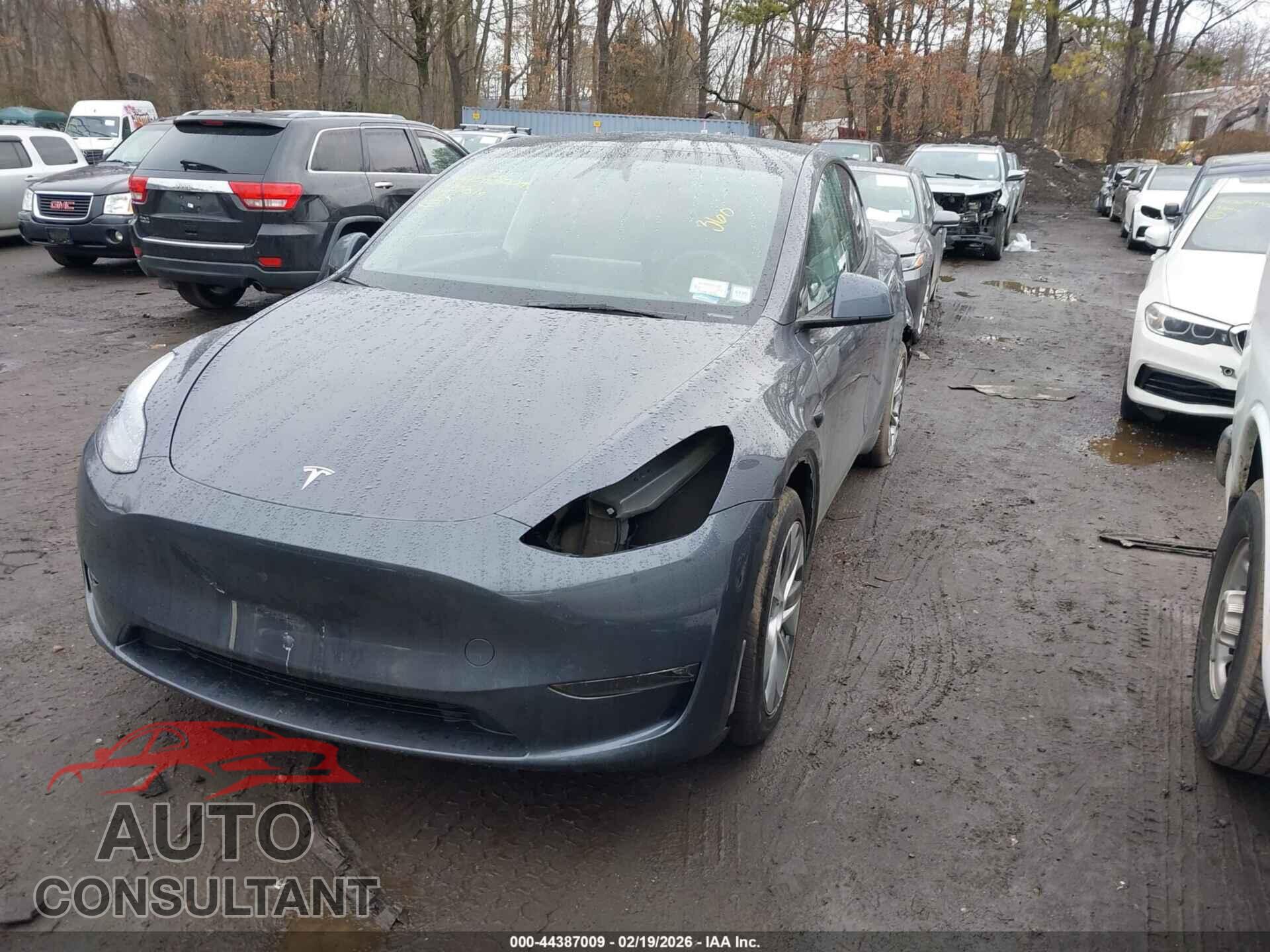 TESLA MODEL Y 2023 - 7SAYGAEE2PF889200