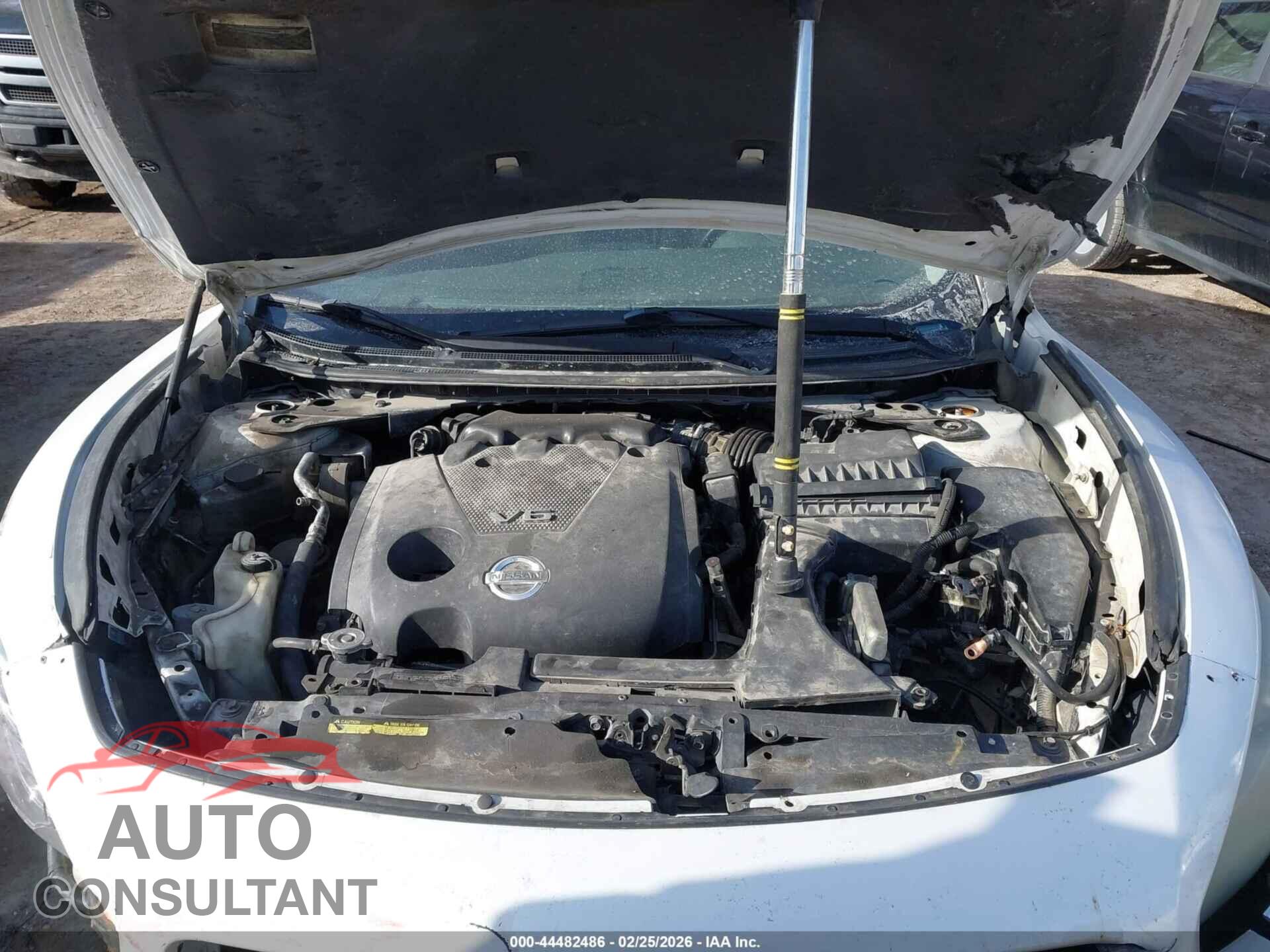 NISSAN MAXIMA 2009 - 1N4AA51E69C830248