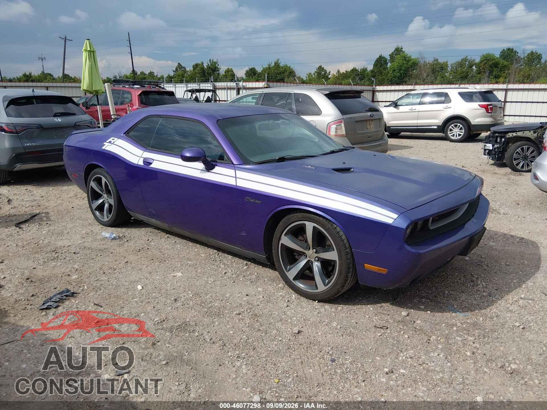 DODGE CHALLENGER 2013 - 2C3CDYBT2DH671859