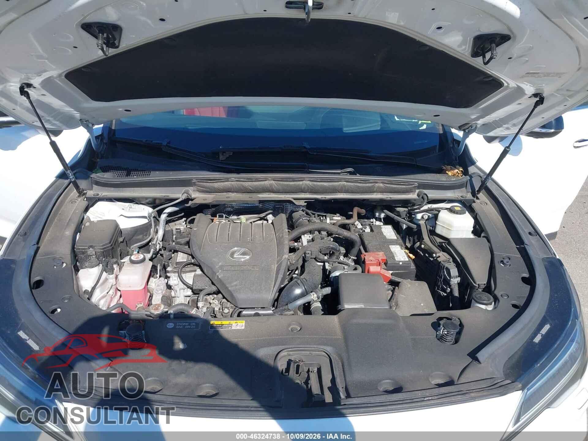LEXUS RX 350 2024 - 2T2BAMCA8RC044487