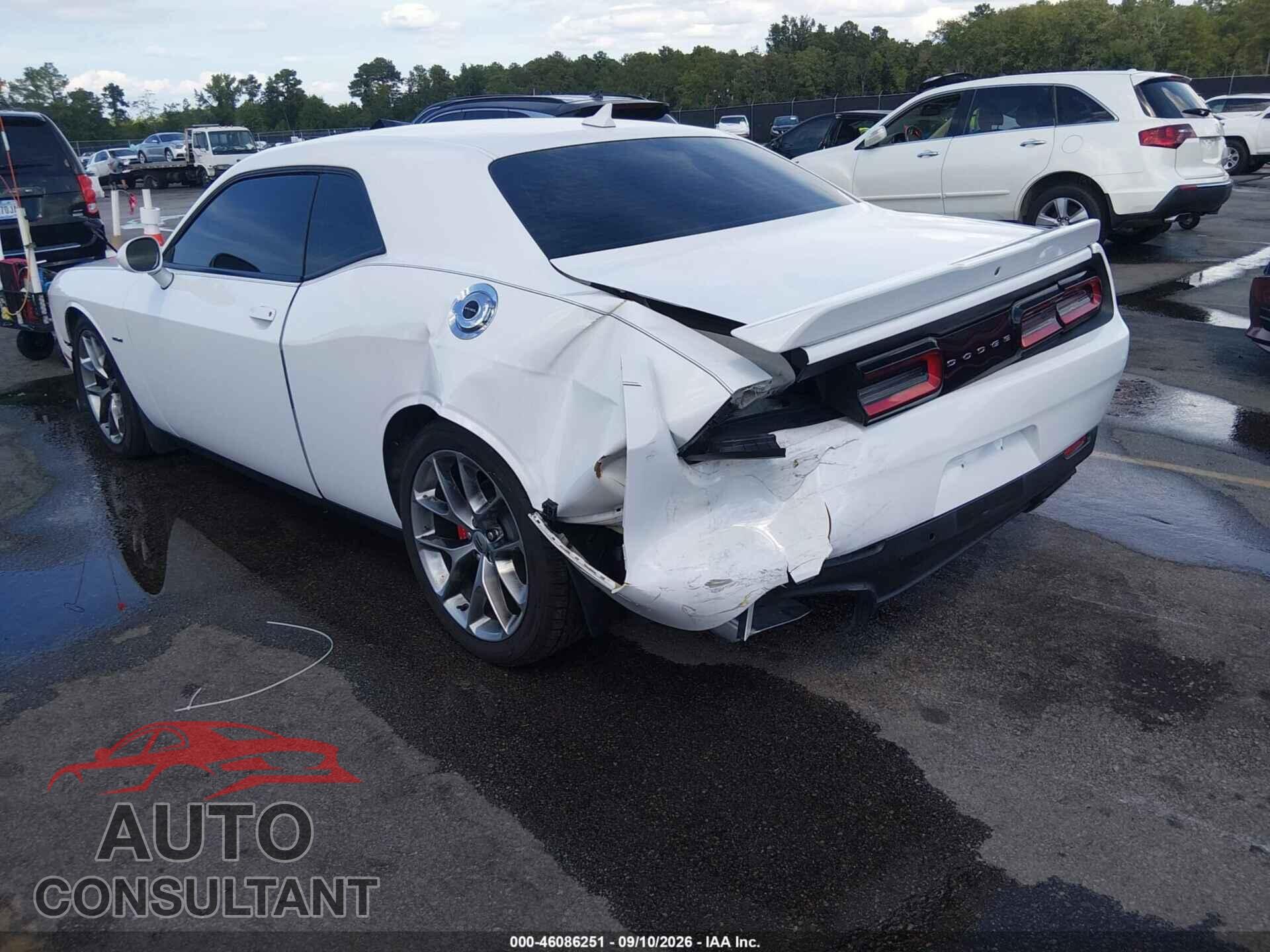 DODGE CHALLENGER 2019 - 2C3CDZBT8KH596538