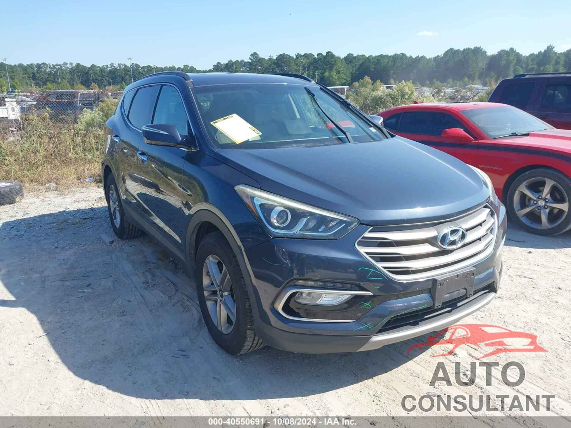 HYUNDAI SANTA FE SPORT 2017 - 5NMZUDLB9HH019917