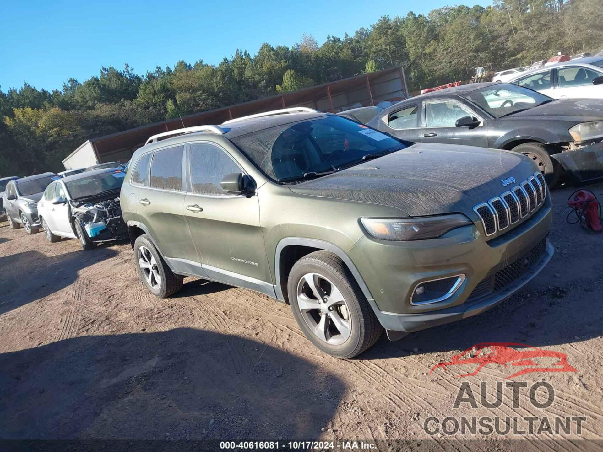JEEP CHEROKEE 2019 - 1C4PJMDXXKD209428