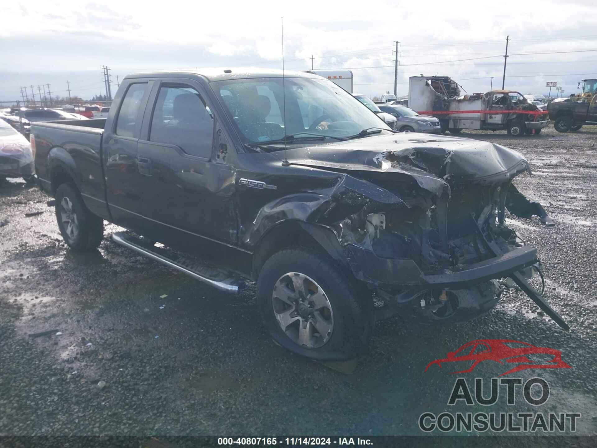 FORD F-150 2013 - 1FTFX1EF8DKG52495