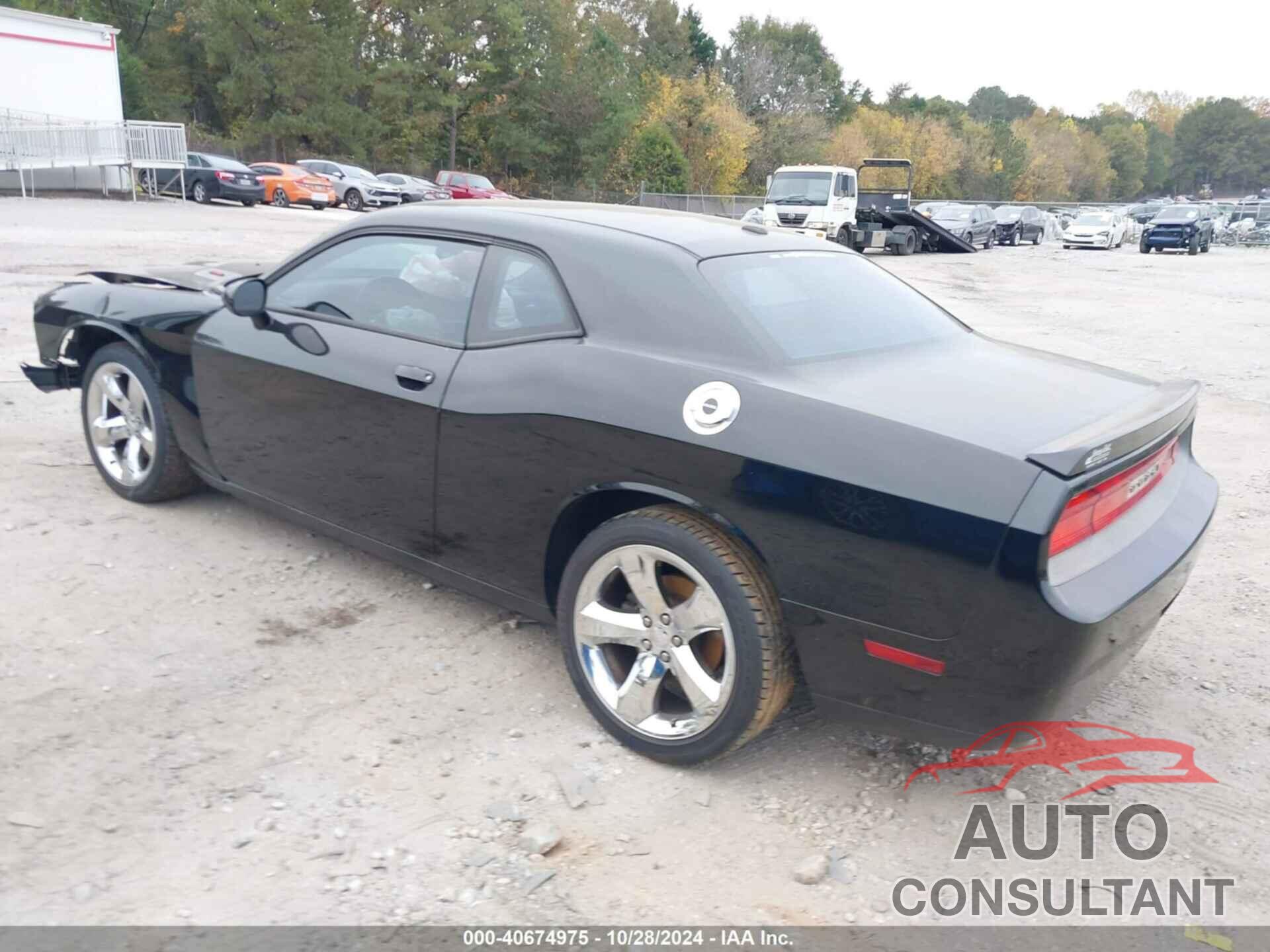 DODGE CHALLENGER 2013 - 2C3CDYBT8DH676127