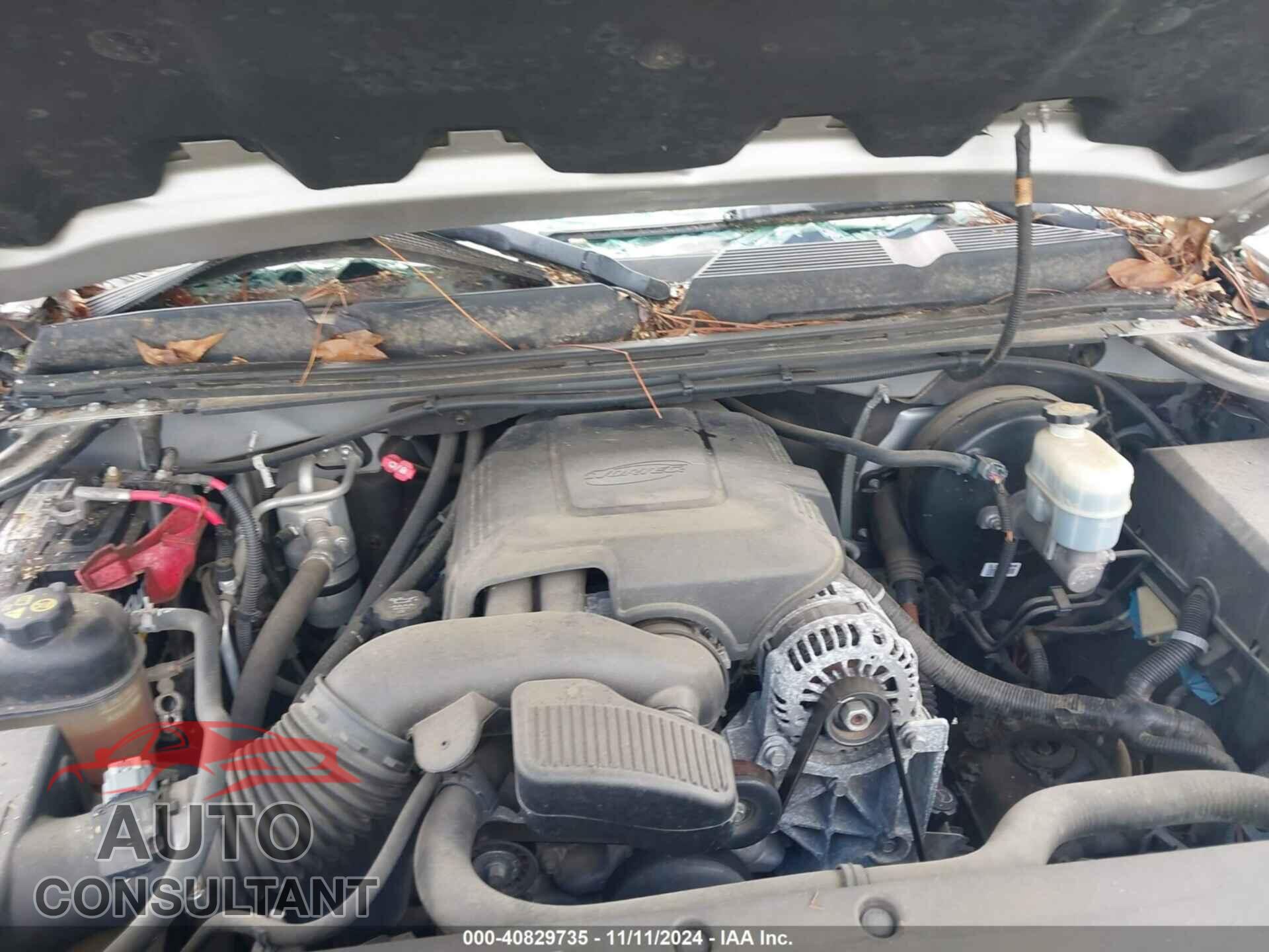 CHEVROLET SILVERADO 1500 2011 - 1GCRCREA1BZ392425