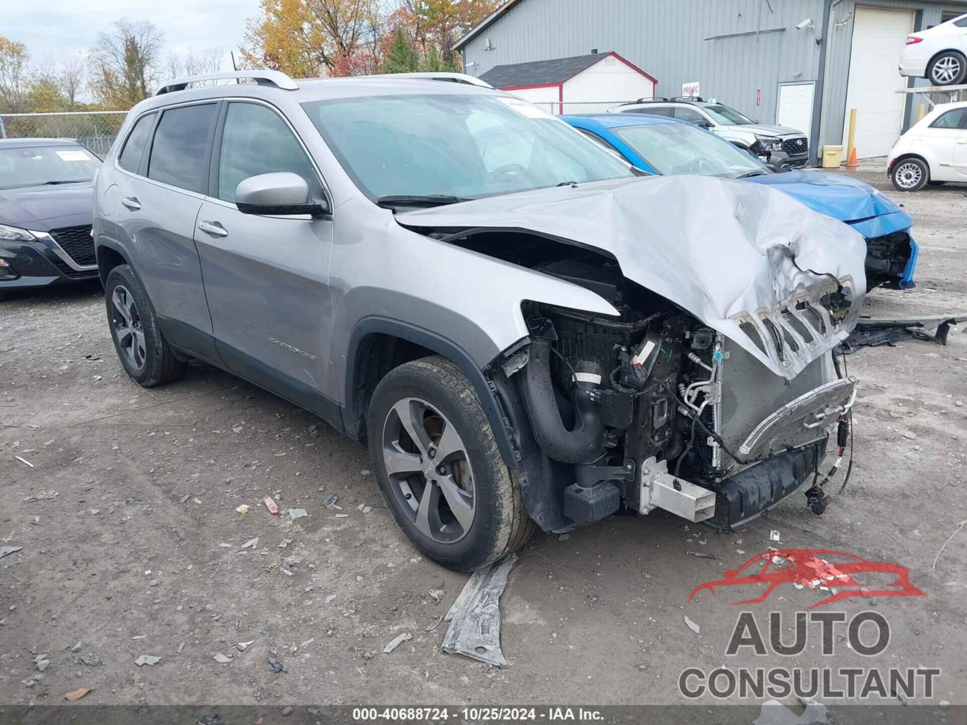 JEEP CHEROKEE 2019 - 1C4PJMDX0KD259254