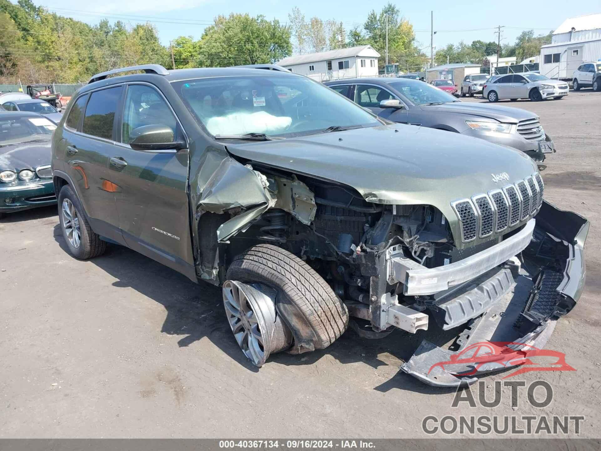 JEEP CHEROKEE 2019 - 1C4PJMLX3KD212088