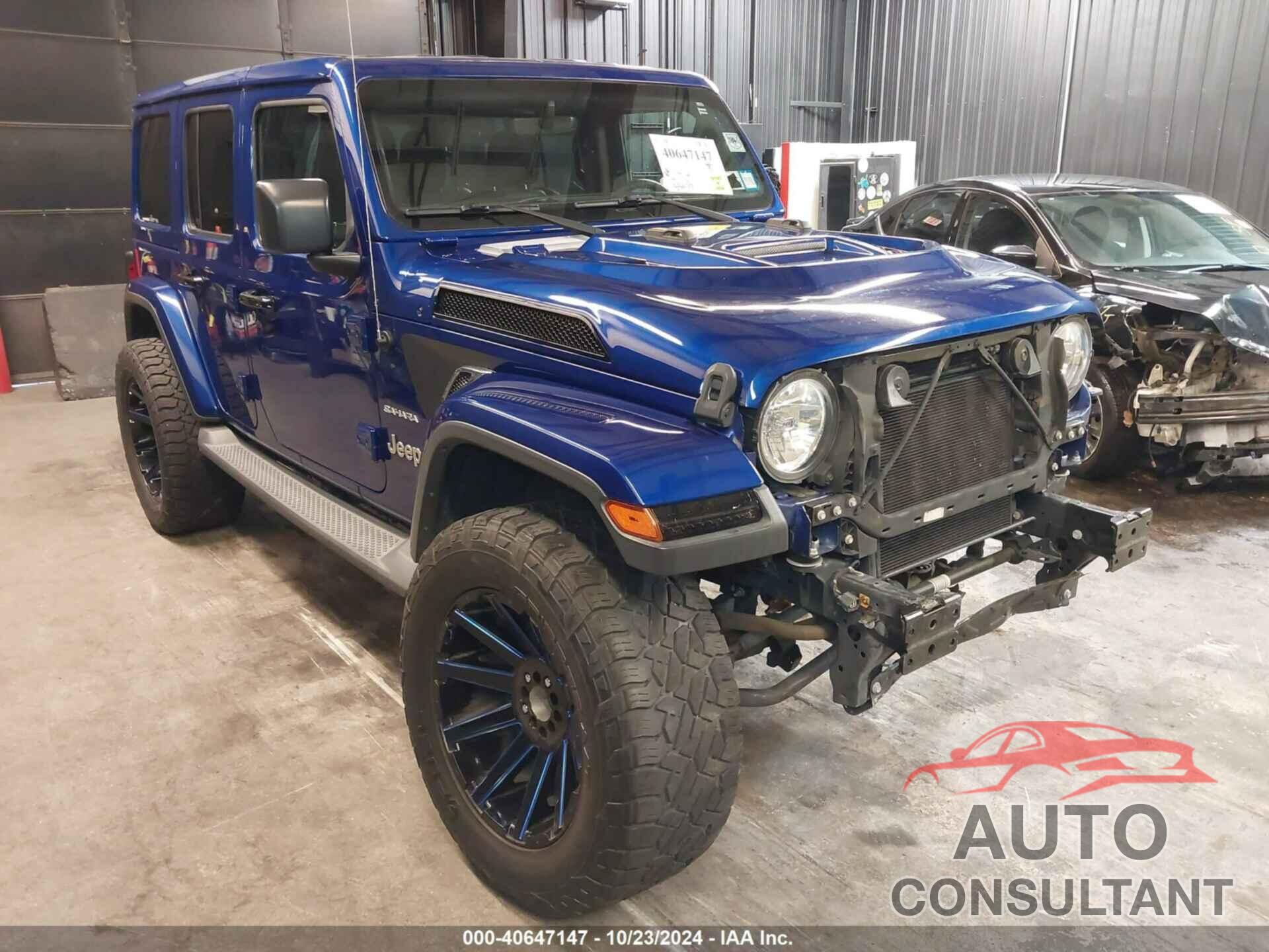 JEEP WRANGLER UNLIMITED 2019 - 1C4HJXEG2KW599935