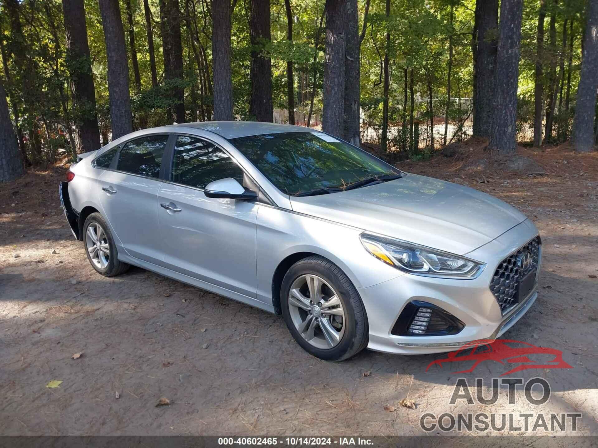 HYUNDAI SONATA 2019 - 5NPE34AF5KH745243