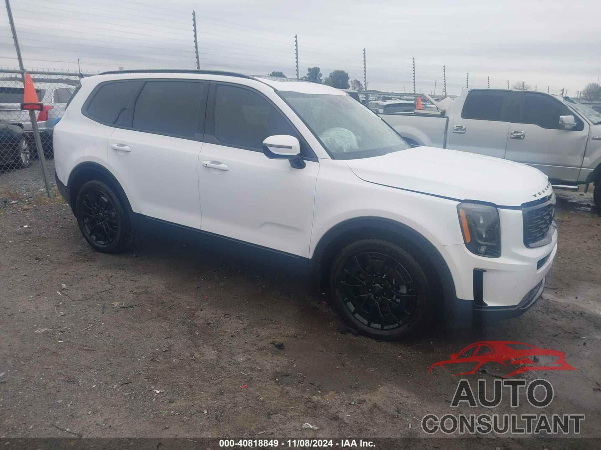 KIA TELLURIDE 2021 - 5XYP5DHC8MG176655