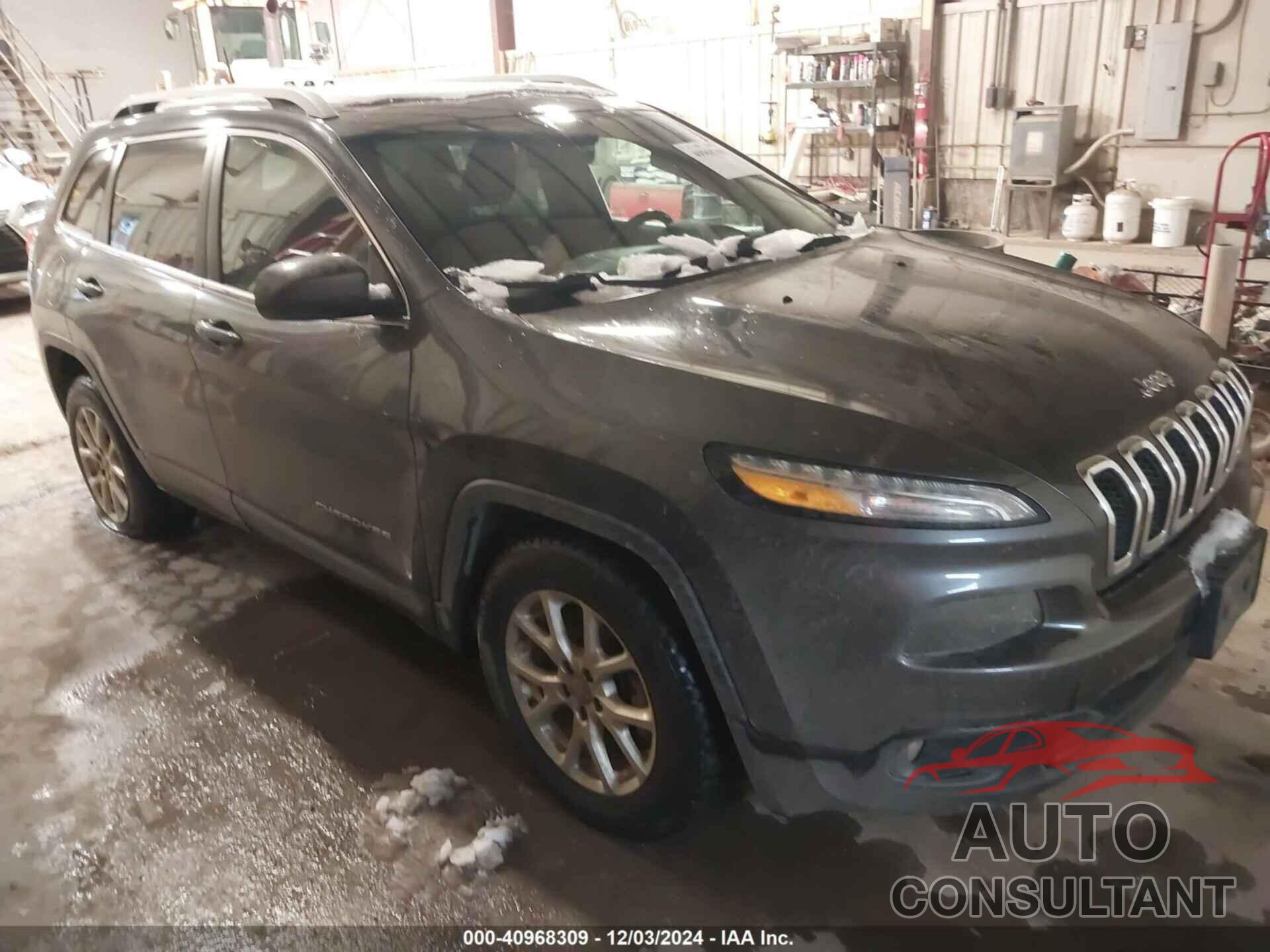 JEEP CHEROKEE 2017 - 1C4PJMCB9HW531481