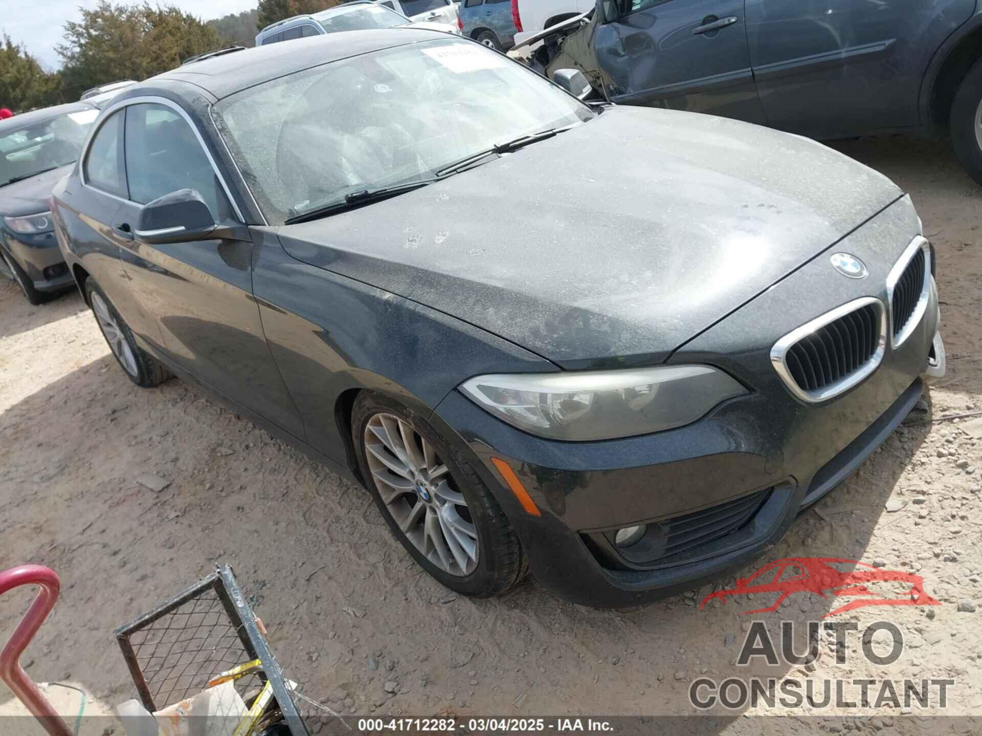 BMW 228I 2014 - WBA1F5C57EVV99185