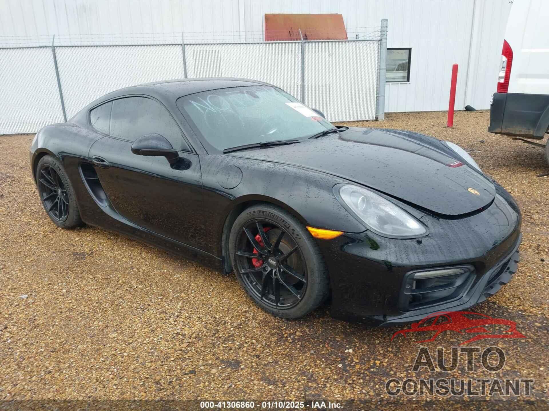 PORSCHE CAYMAN 2015 - WP0AB2A8XFK183046