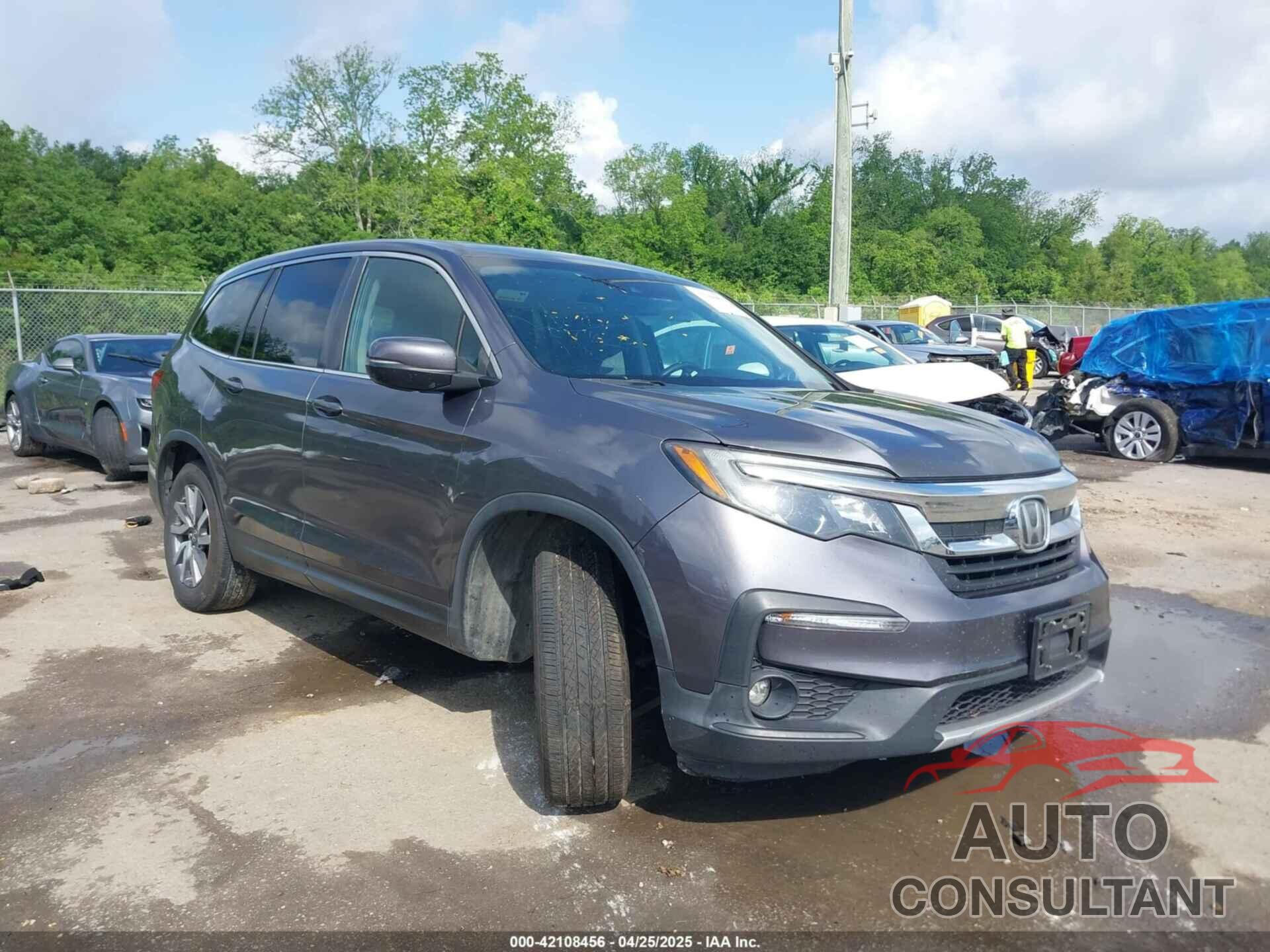 HONDA PILOT 2019 - 5FNYF5H52KB039336