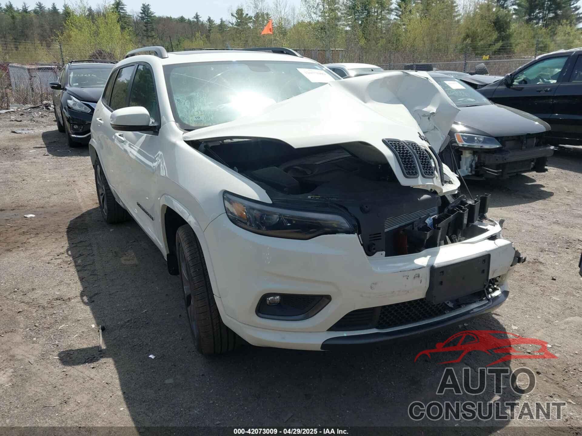 JEEP CHEROKEE 2019 - 1C4PJMDX5KD451379