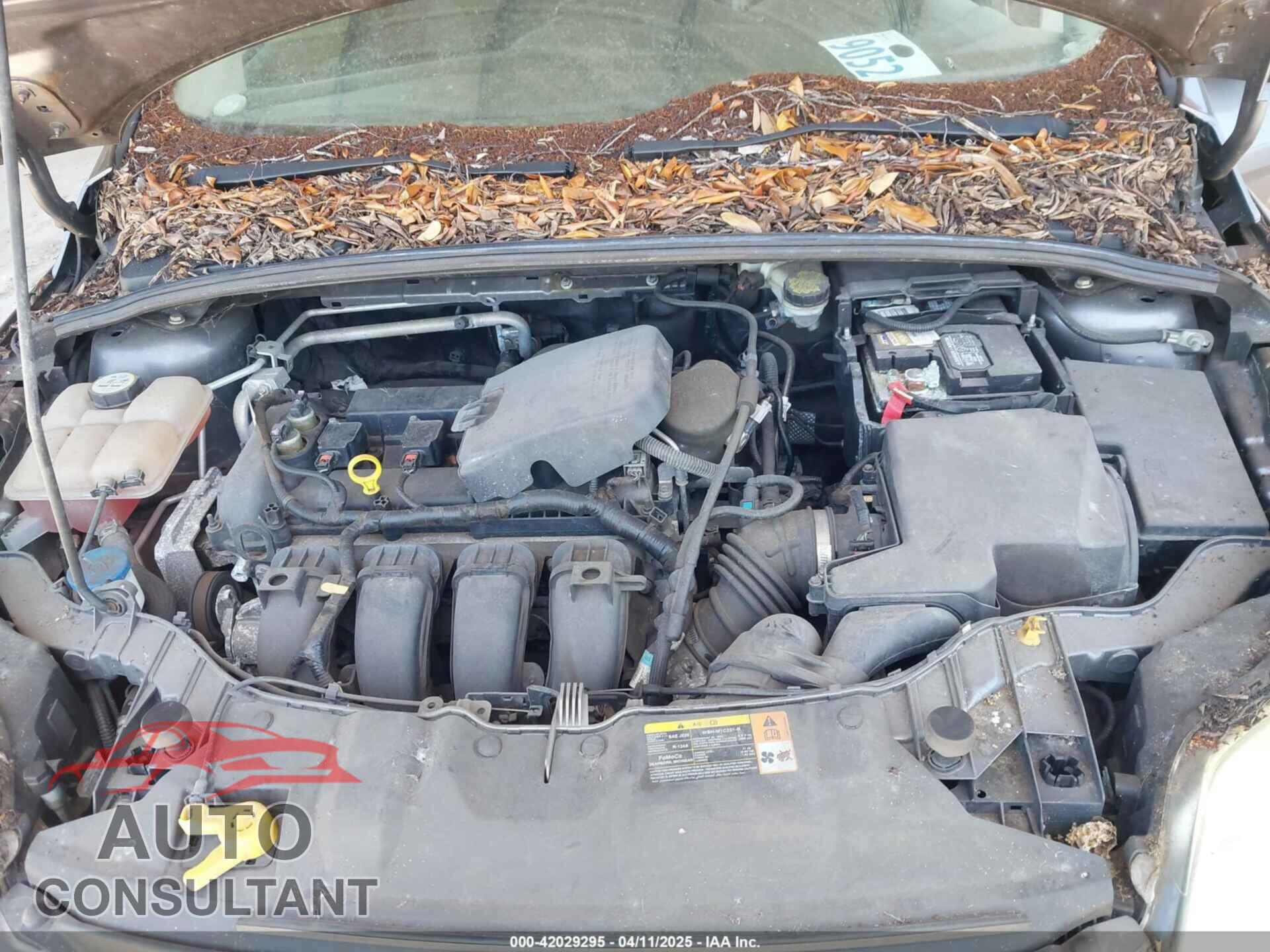 FORD FOCUS 2013 - 1FADP3K2XDL265306