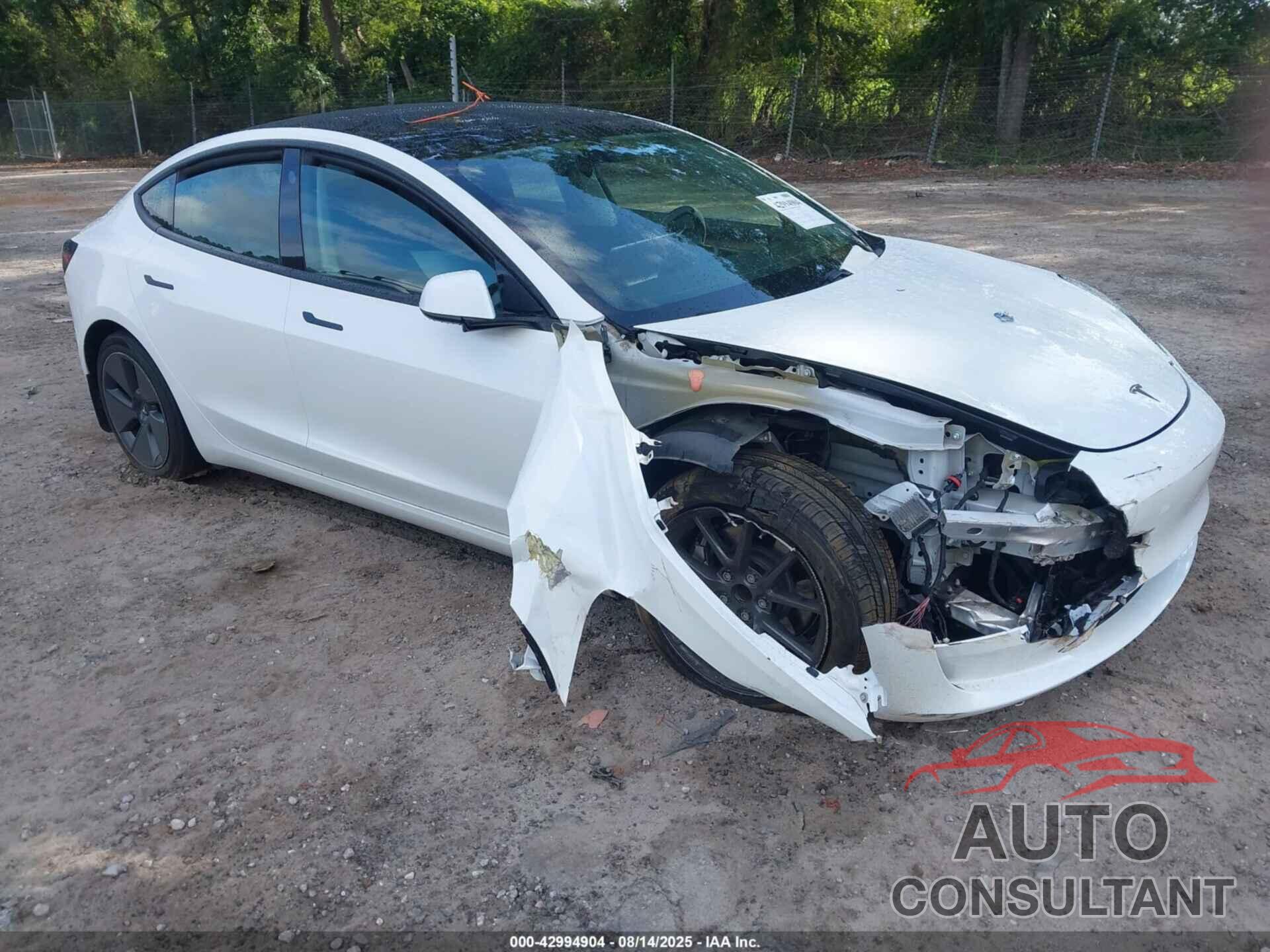 TESLA MODEL 3 2021 - 5YJ3E1EA9MF016159