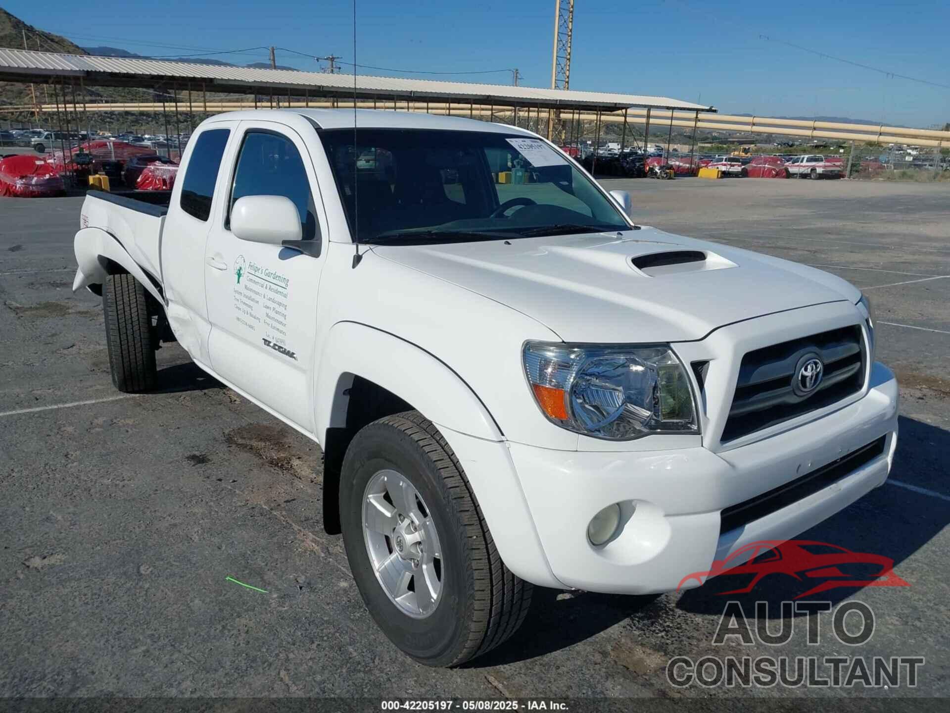 TOYOTA TACOMA 2010 - 5TETU4GN5AZ706666