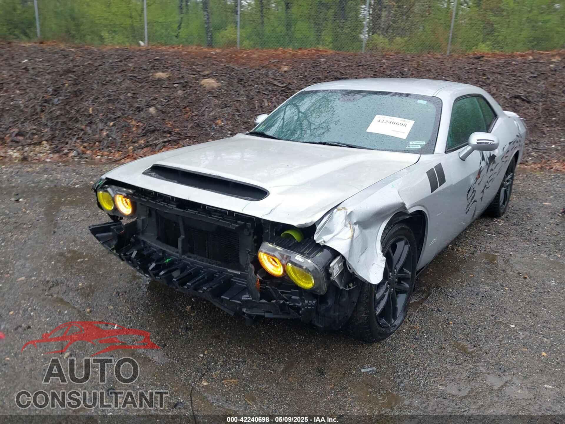 DODGE CHALLENGER 2019 - 2C3CDZGG9KH717332