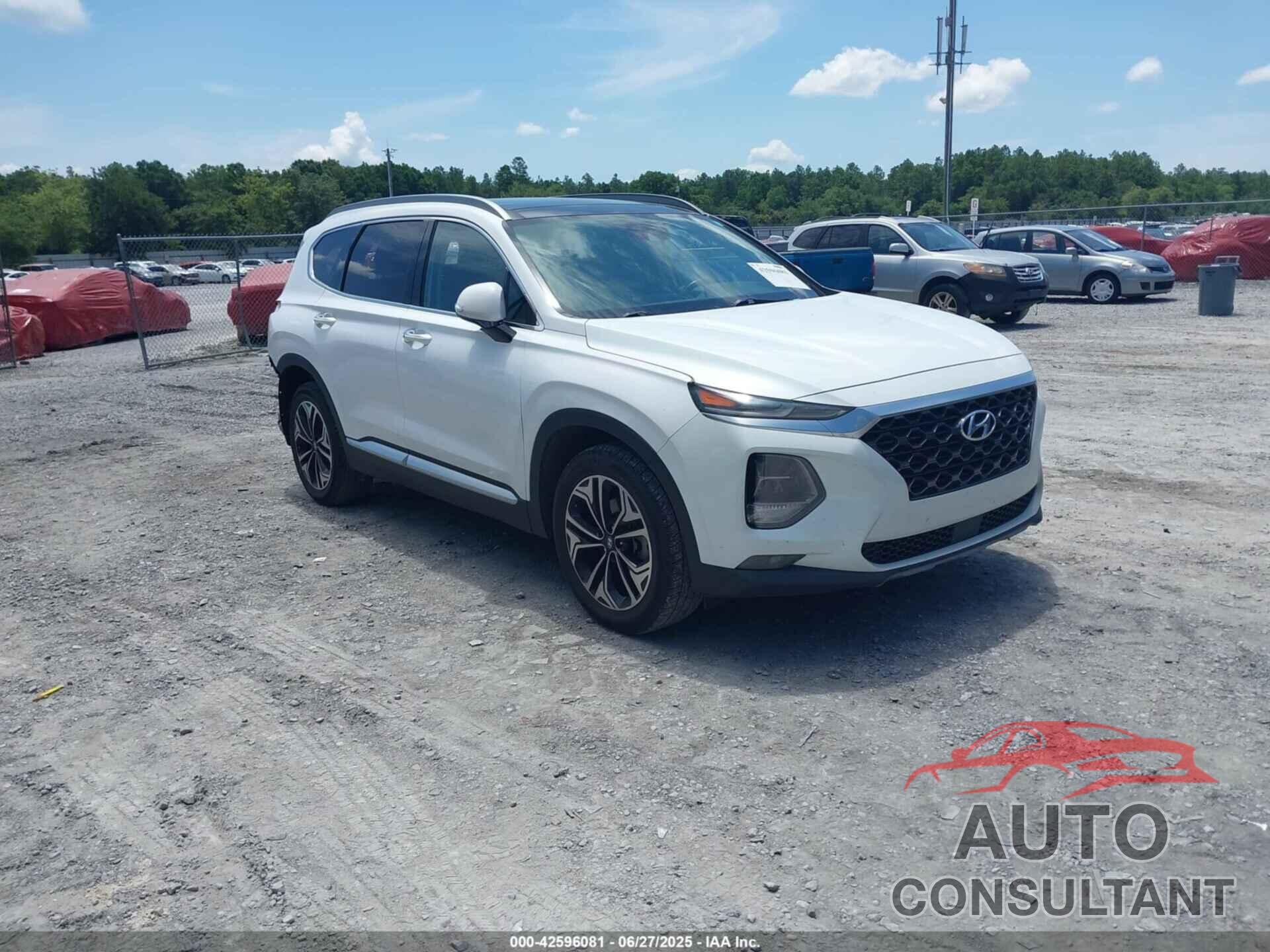 HYUNDAI SANTA FE 2019 - 5NMS53AA5KH029810