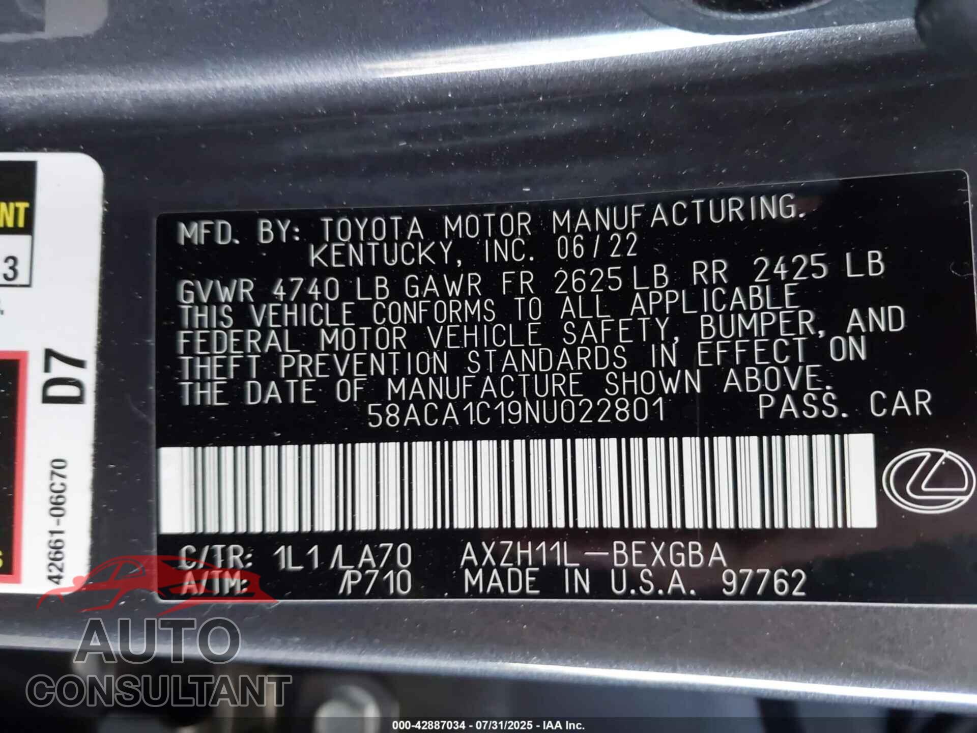 LEXUS ES 300H 2022 - 58ACA1C19NU022801