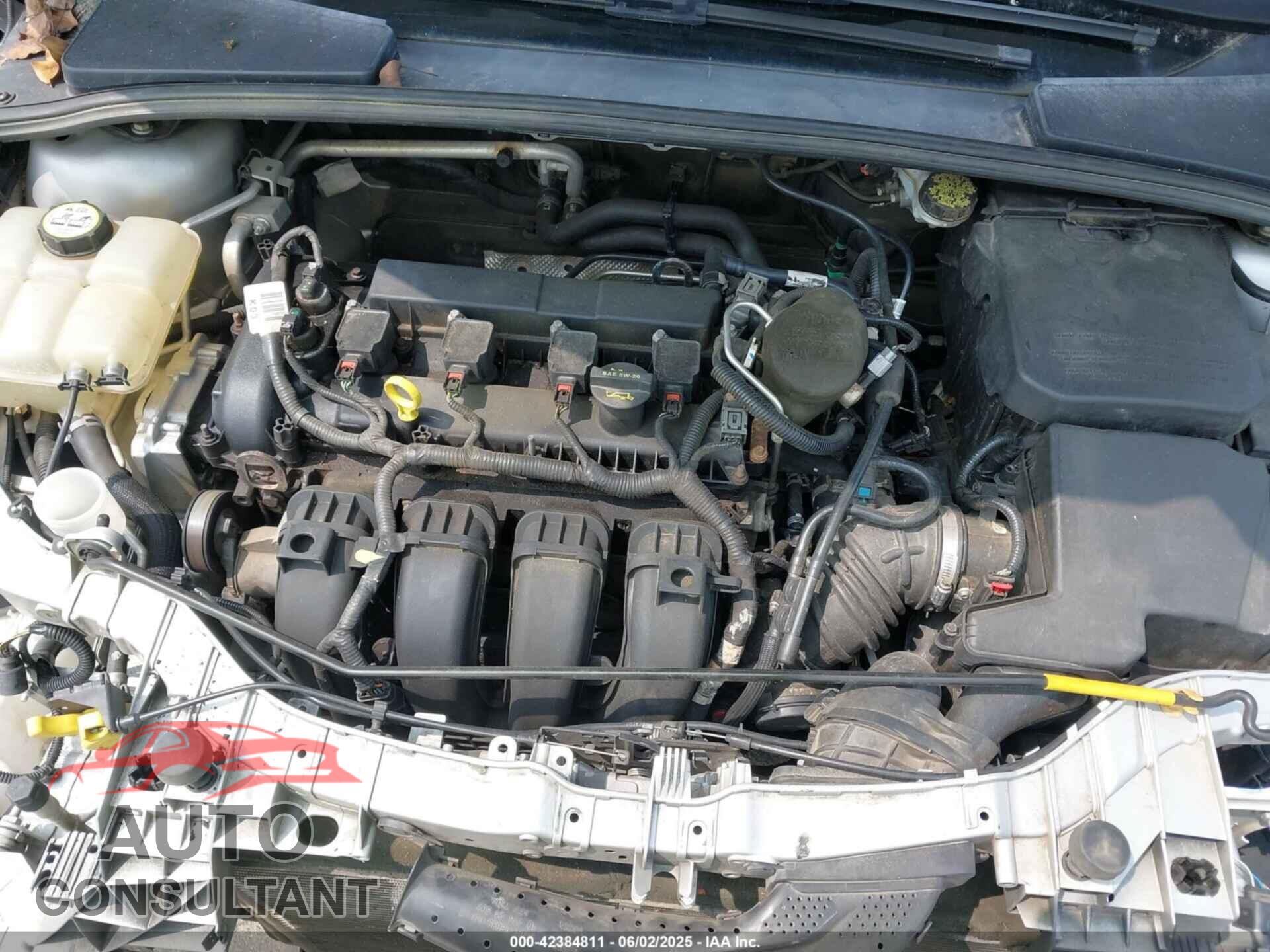 FORD FOCUS 2013 - 1FADP3K26DL216880