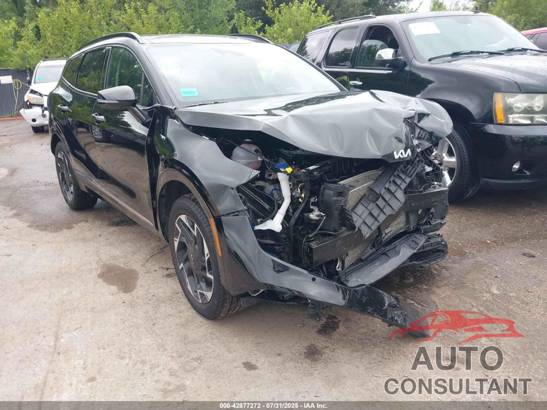 KIA SPORTAGE 2024 - 5XYK5CDF8RG172472