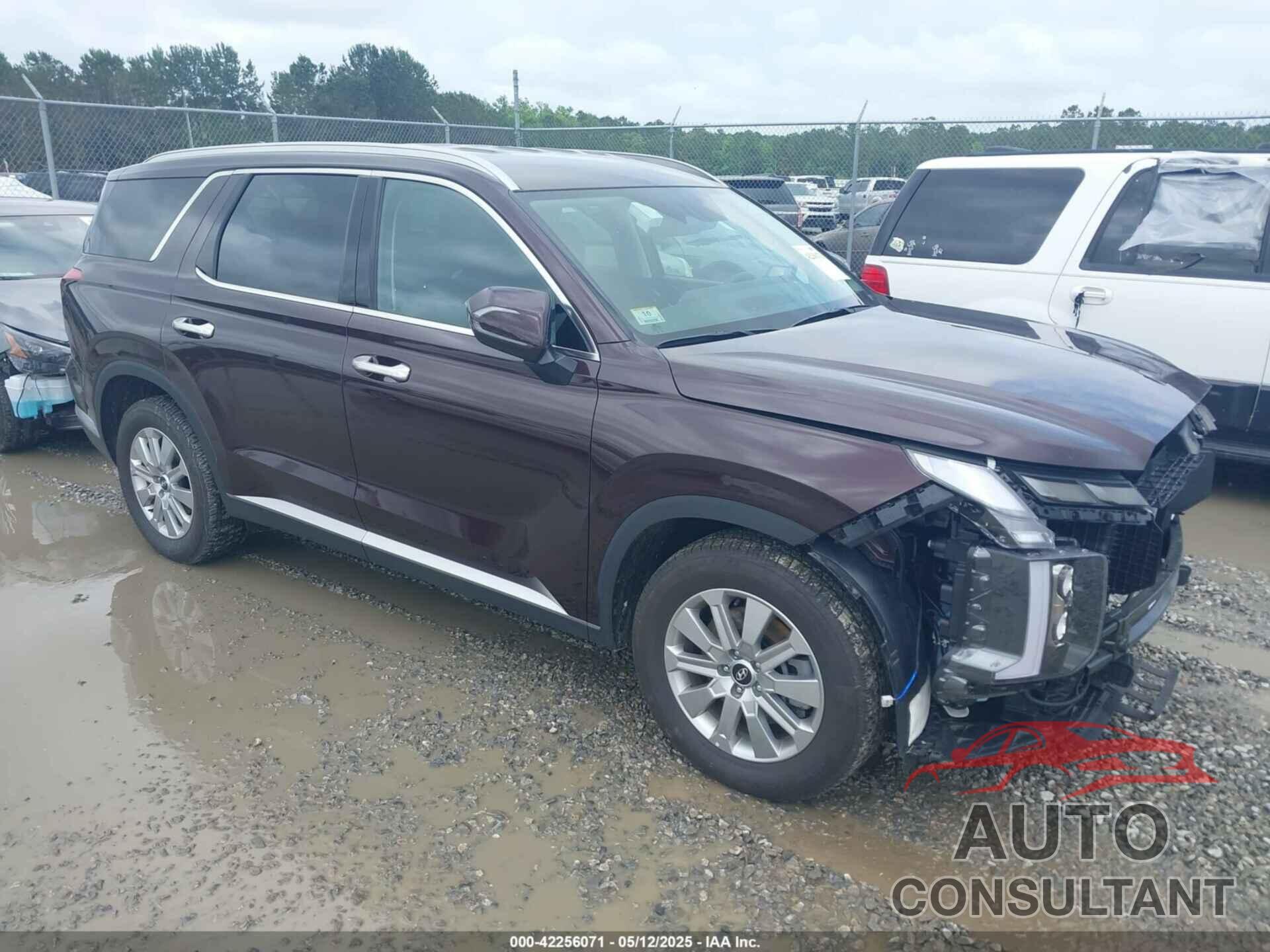 HYUNDAI PALISADE 2025 - KM8R2DGE9SU843132