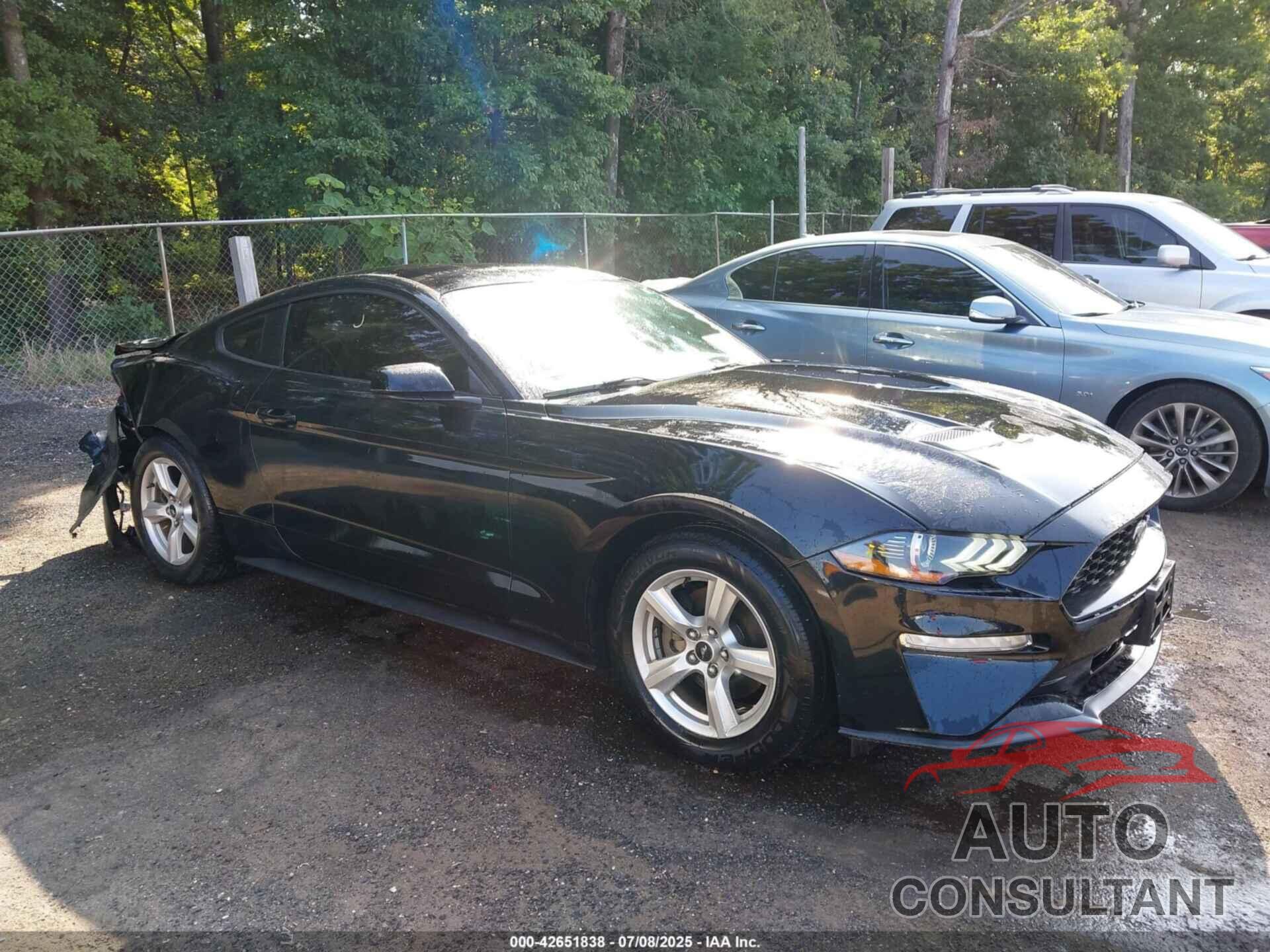 FORD MUSTANG 2019 - 1FA6P8THXK5147167