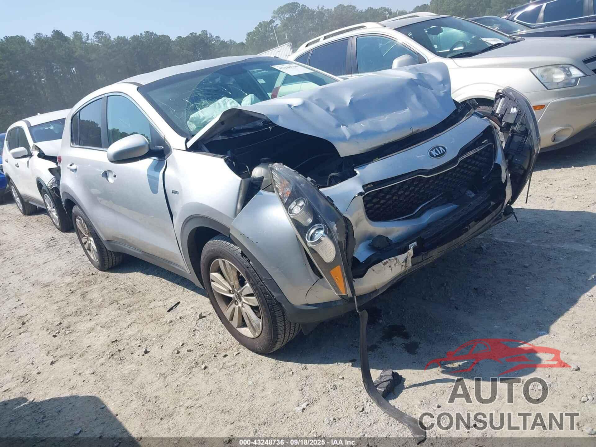 KIA SPORTAGE 2019 - KNDPMCAC1K7614126