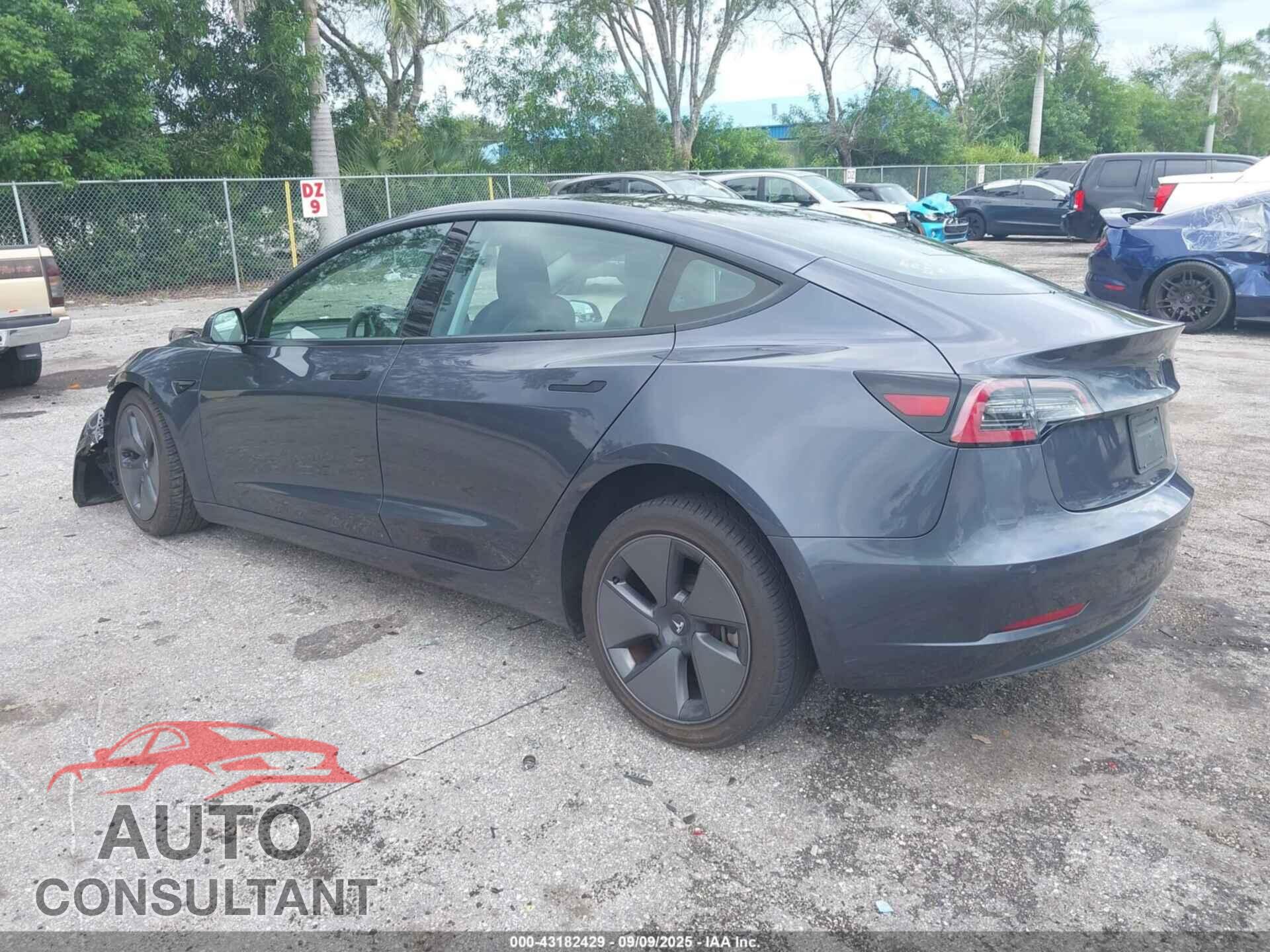 TESLA MODEL 3 2021 - 5YJ3E1EA1MF077795