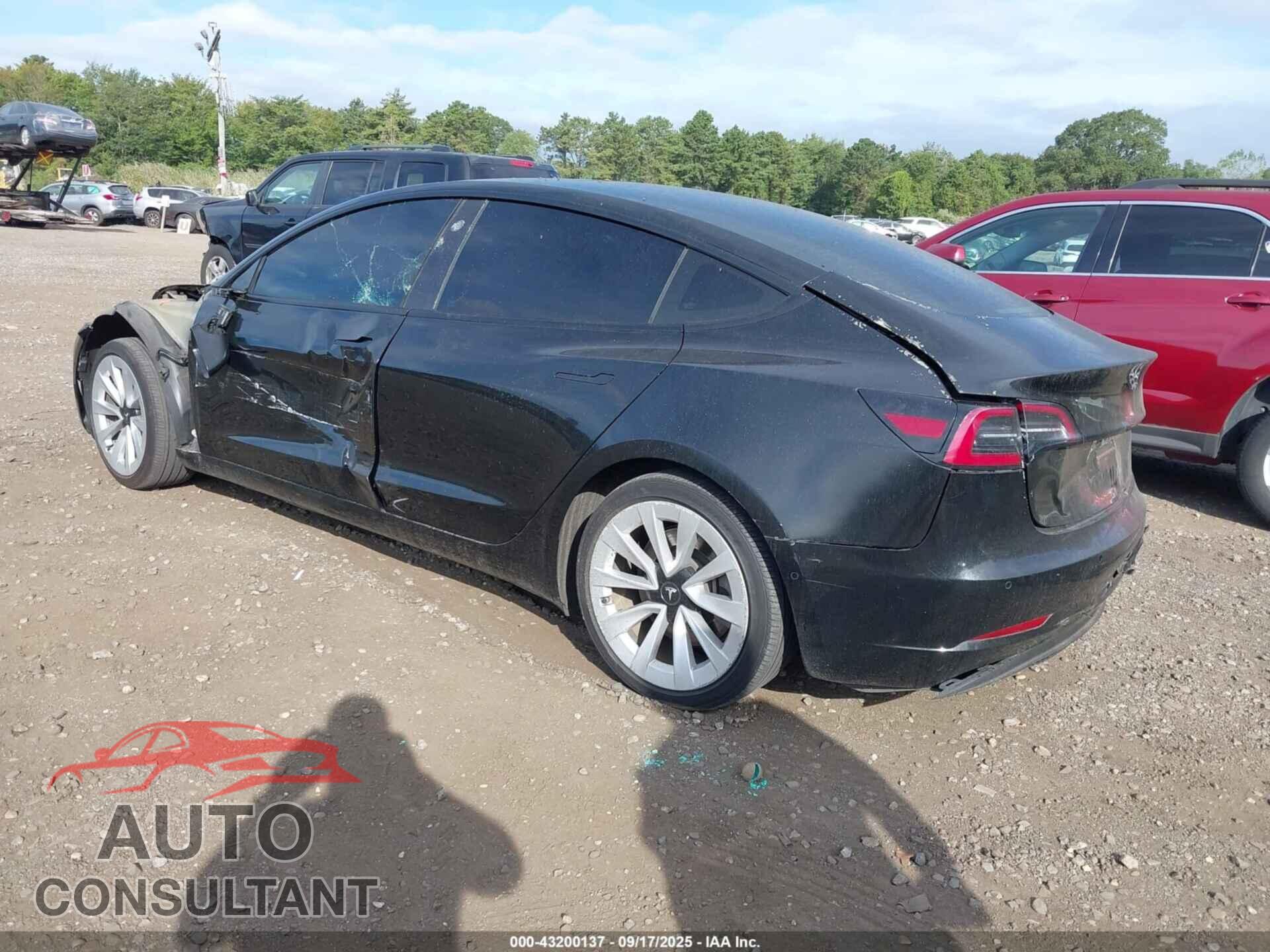 TESLA MODEL 3 2021 - 5YJ3E1EA8MF990702