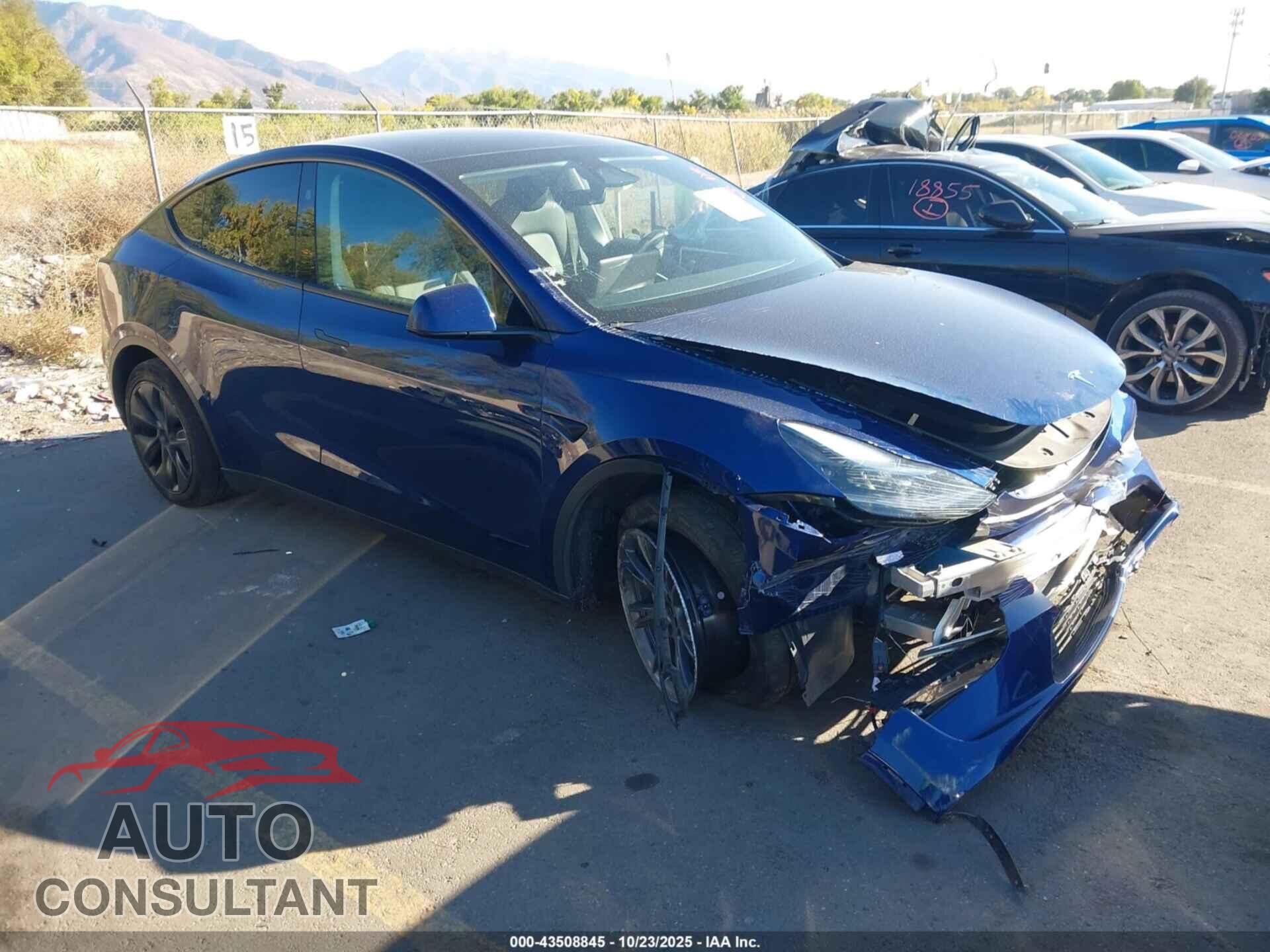 TESLA MODEL Y 2024 - 7SAYGDEE9RF168005