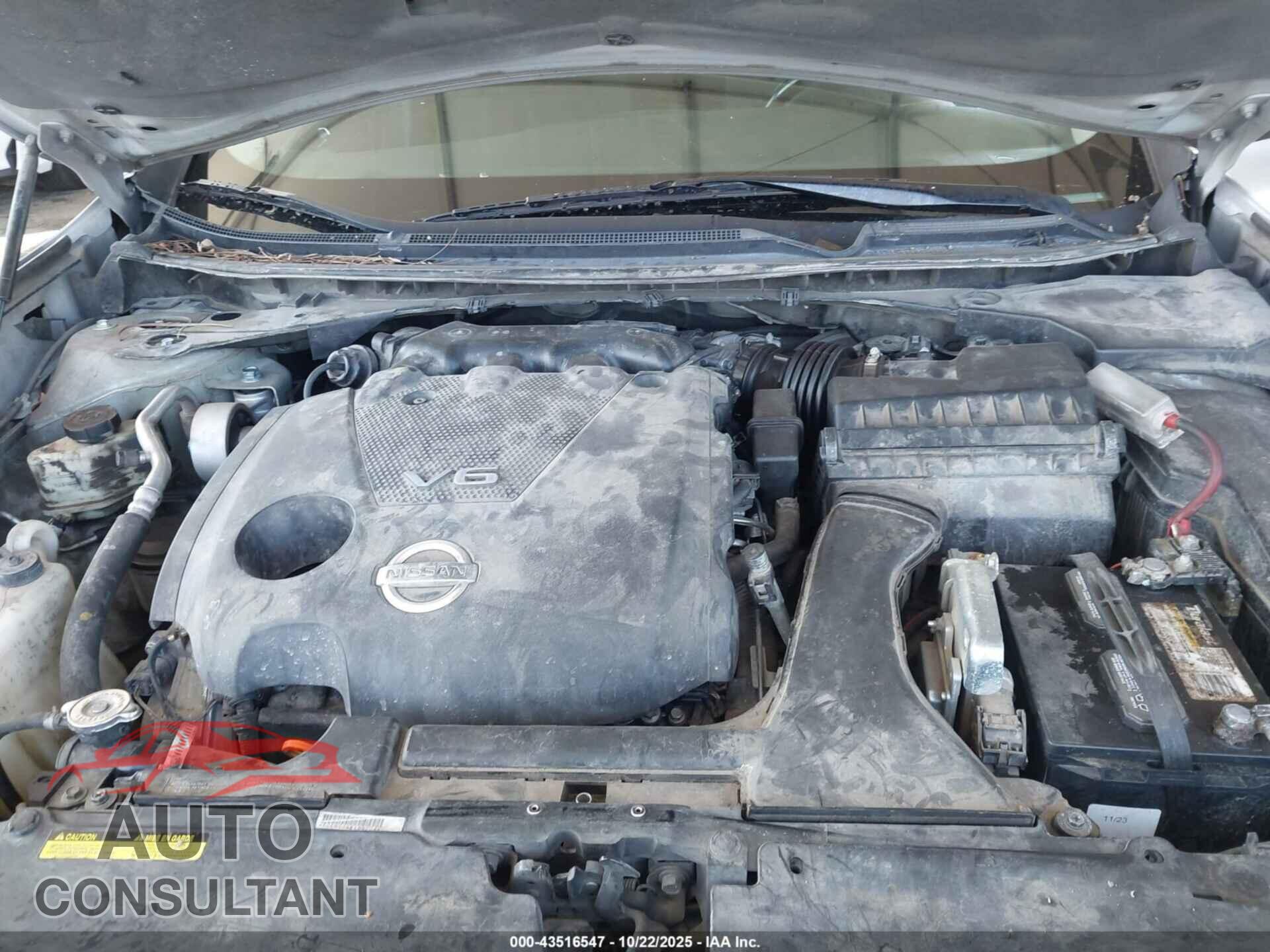 NISSAN MAXIMA 2009 - 1N4AA51E79C858897