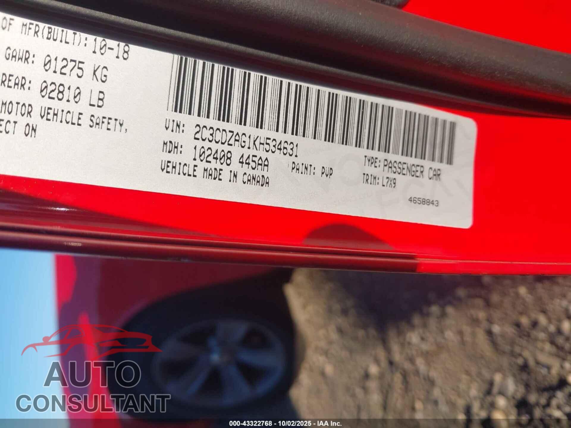 DODGE CHALLENGER 2019 - 2C3CDZAG1KH534631