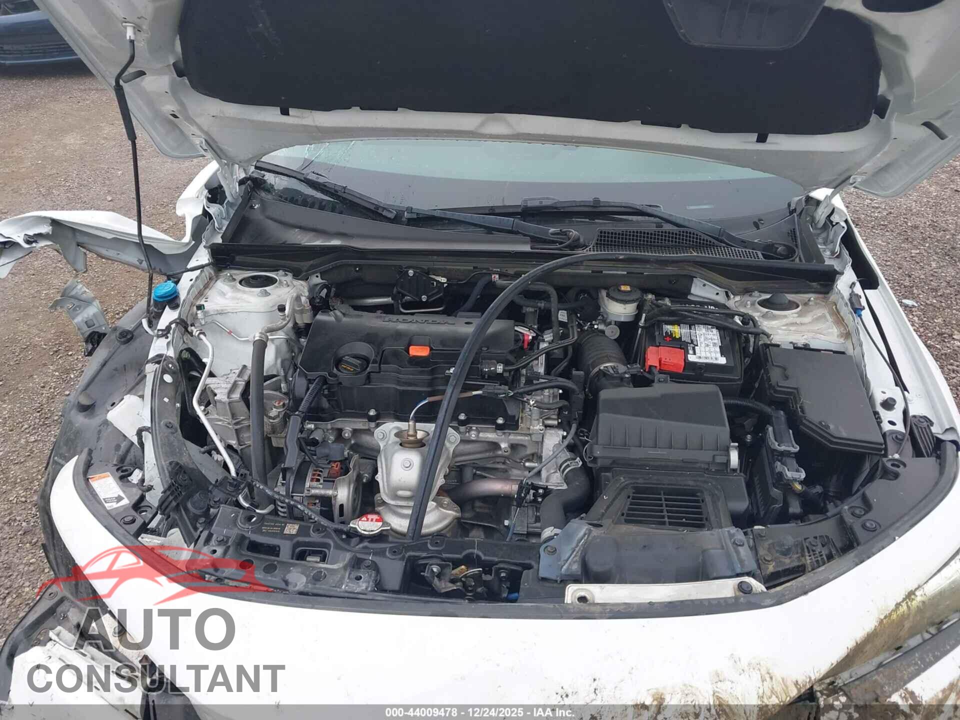 HONDA CIVIC 2023 - 2HGFE2F57PH556307