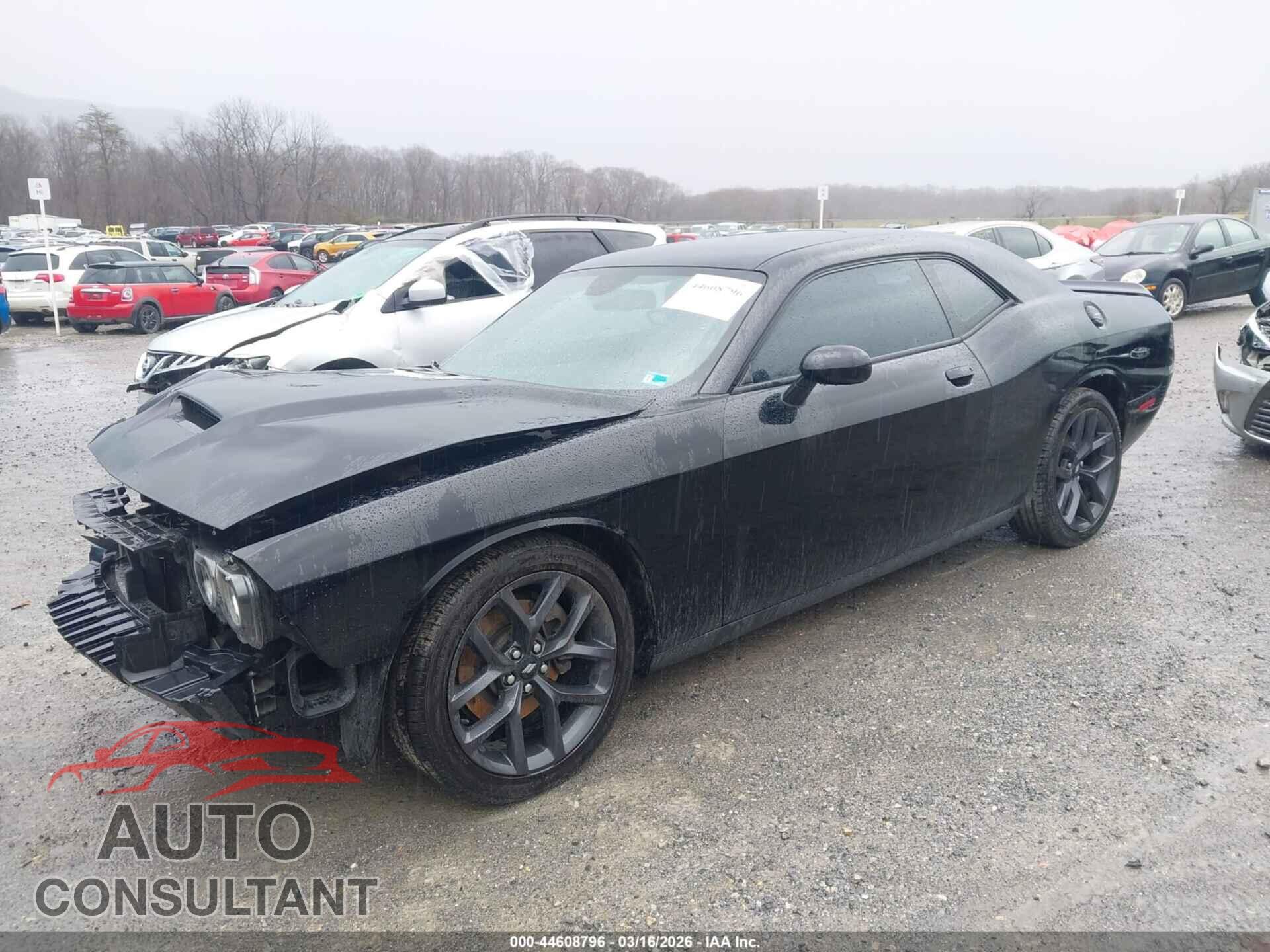 DODGE CHALLENGER 2019 - 2C3CDZJG3KH557330