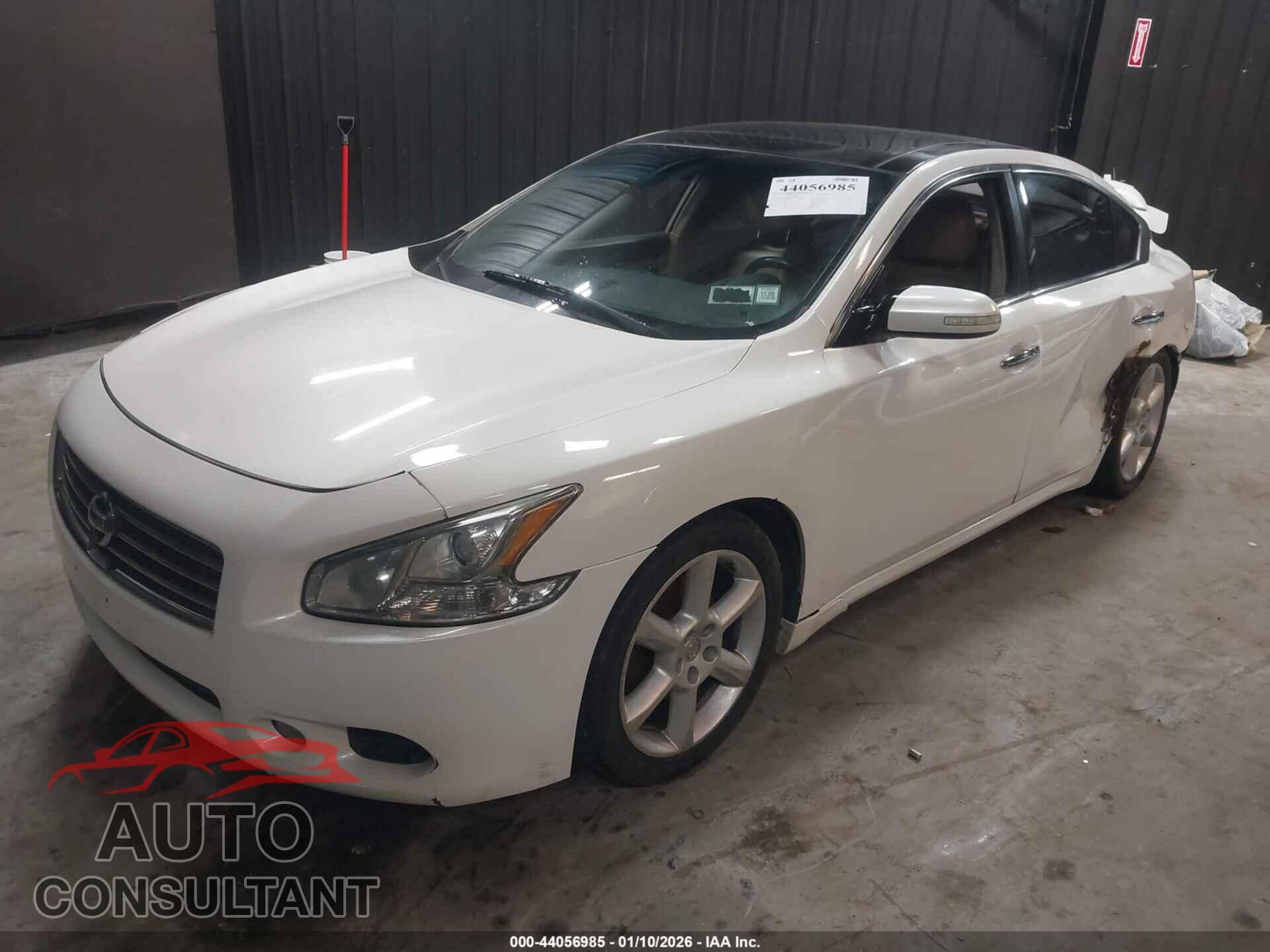 NISSAN MAXIMA 2011 - 1N4AA5AP7BC859054