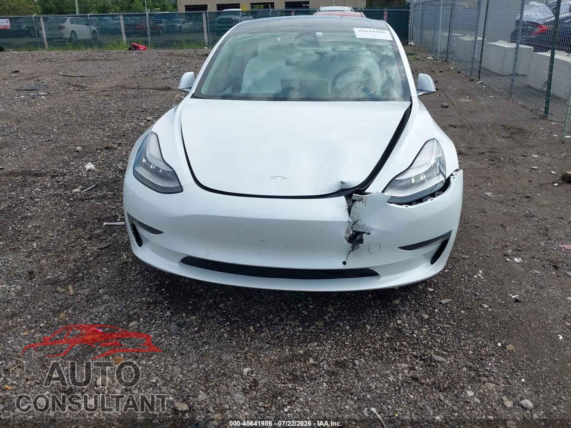 TESLA MODEL 3 2019 - 5YJ3E1EA1KF486618